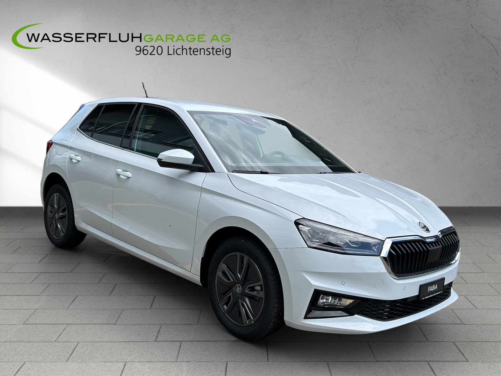 SKODA Fabia 1.0 TSI Dynamic DSG-image-9
