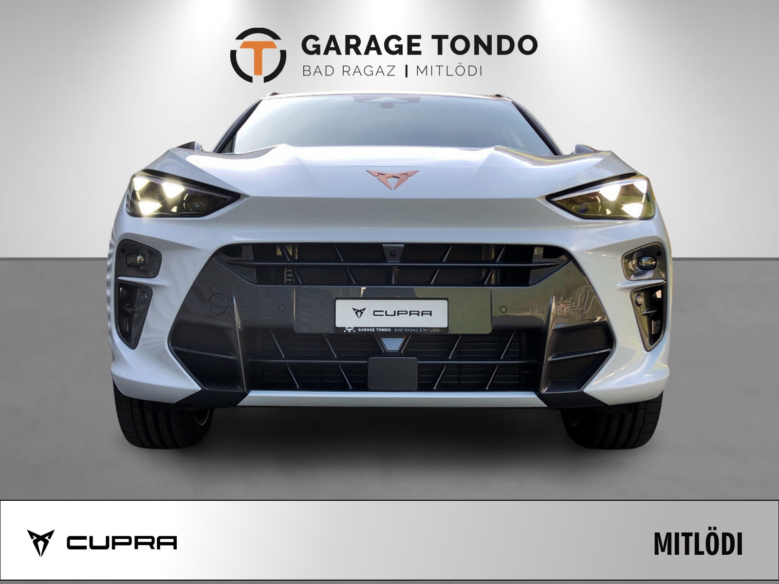 CUPRA Terramar 2.0 TSI VZ 4Drive DSG-image-1