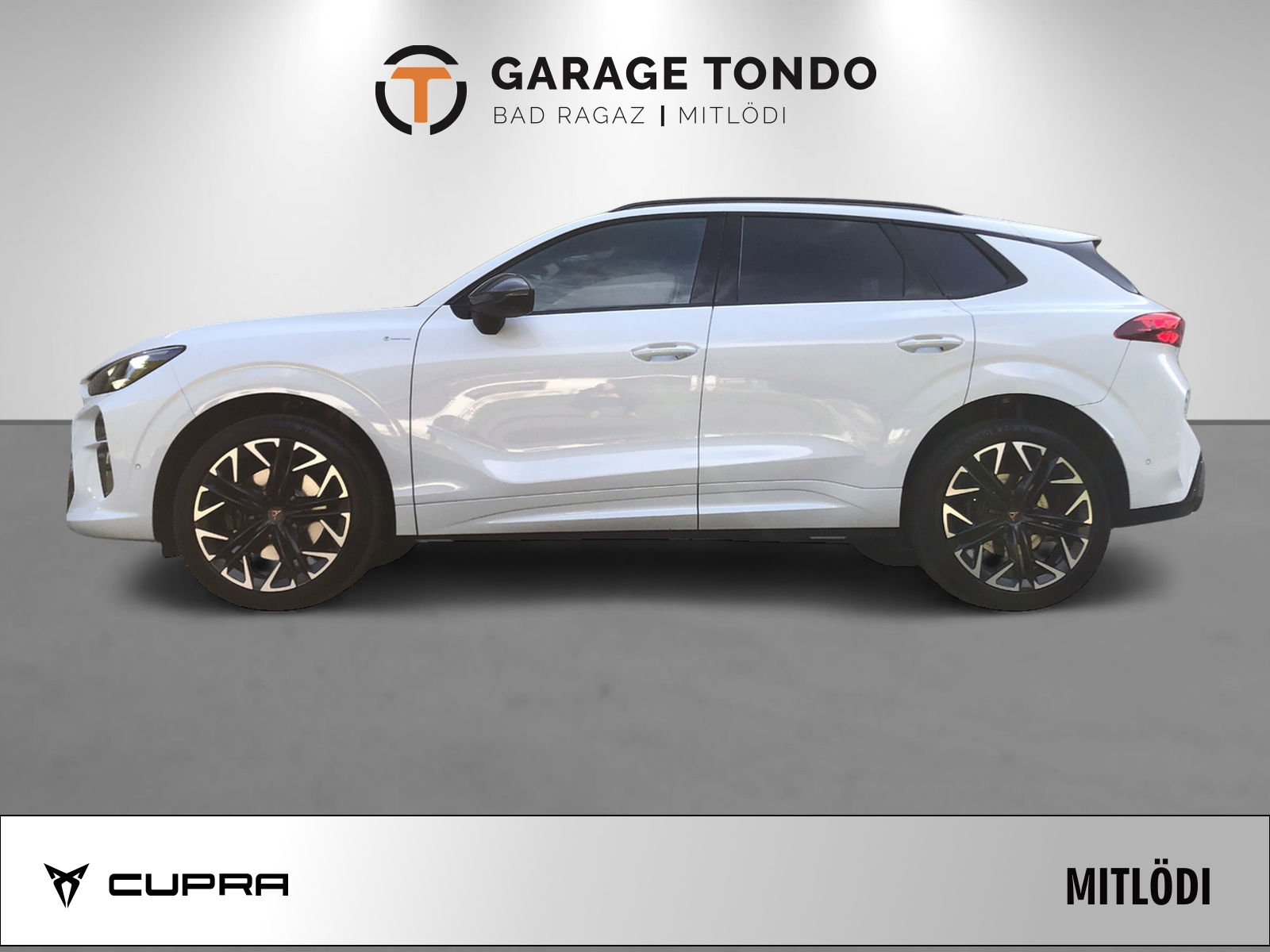 CUPRA Terramar 2.0 TSI VZ 4Drive DSG-image-3