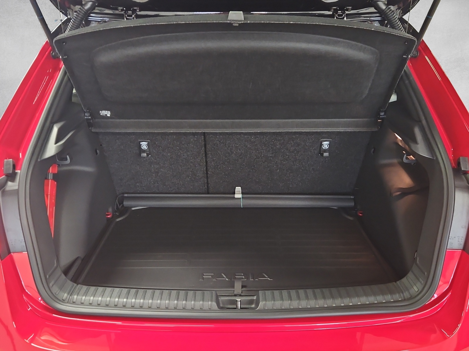 SKODA Fabia 1.0 TSI Monte Carlo DSG-image-12