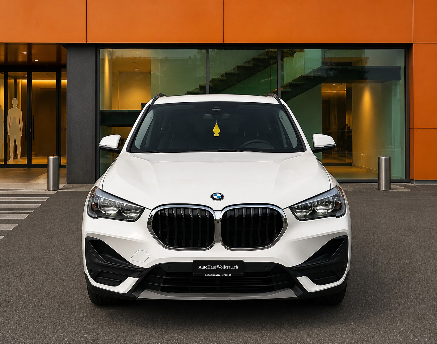 BMW X1 20d xDrive / Top Zustand-image-2