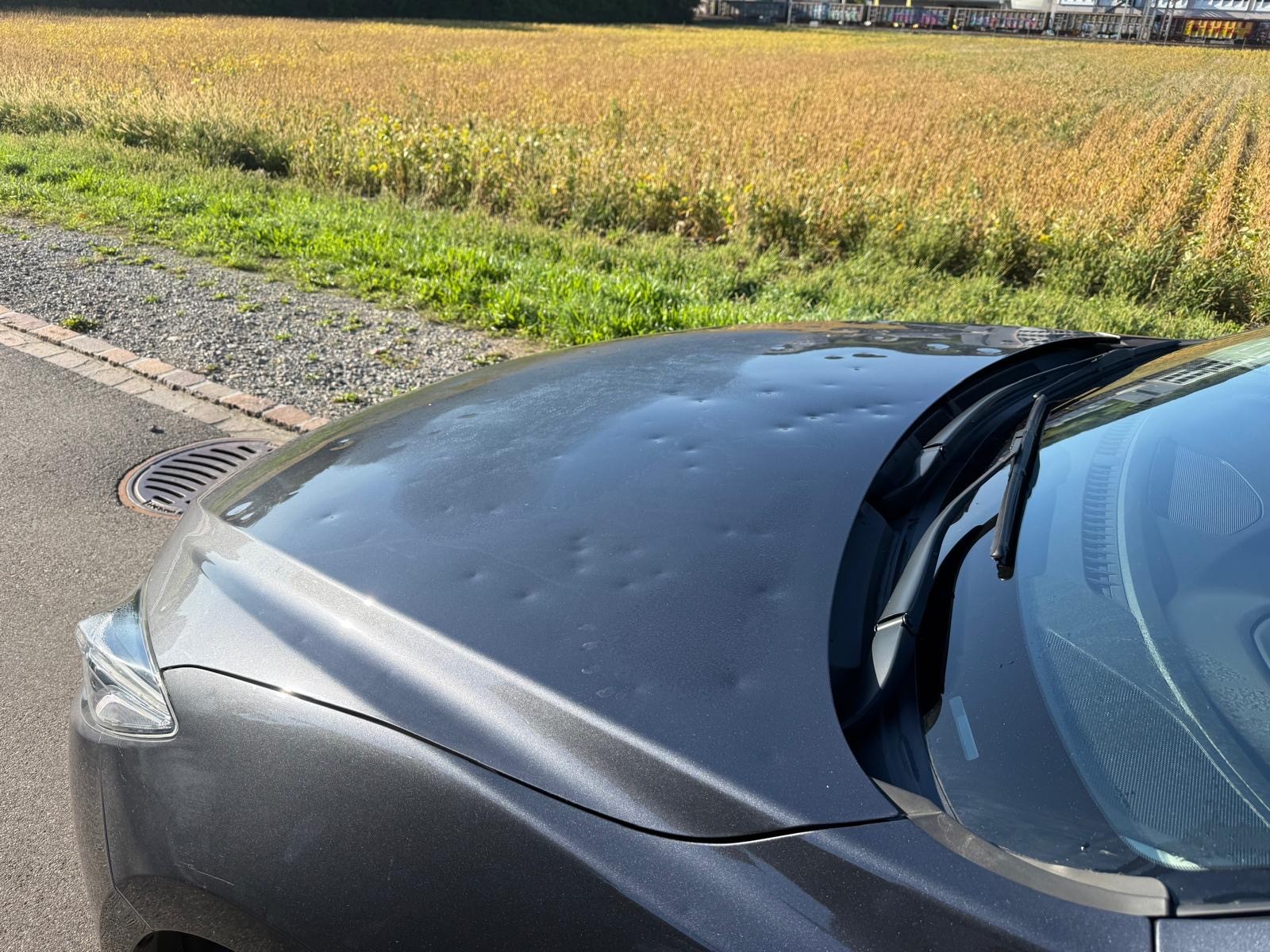 MAZDA 3 2.0 16V Revolution-image-7
