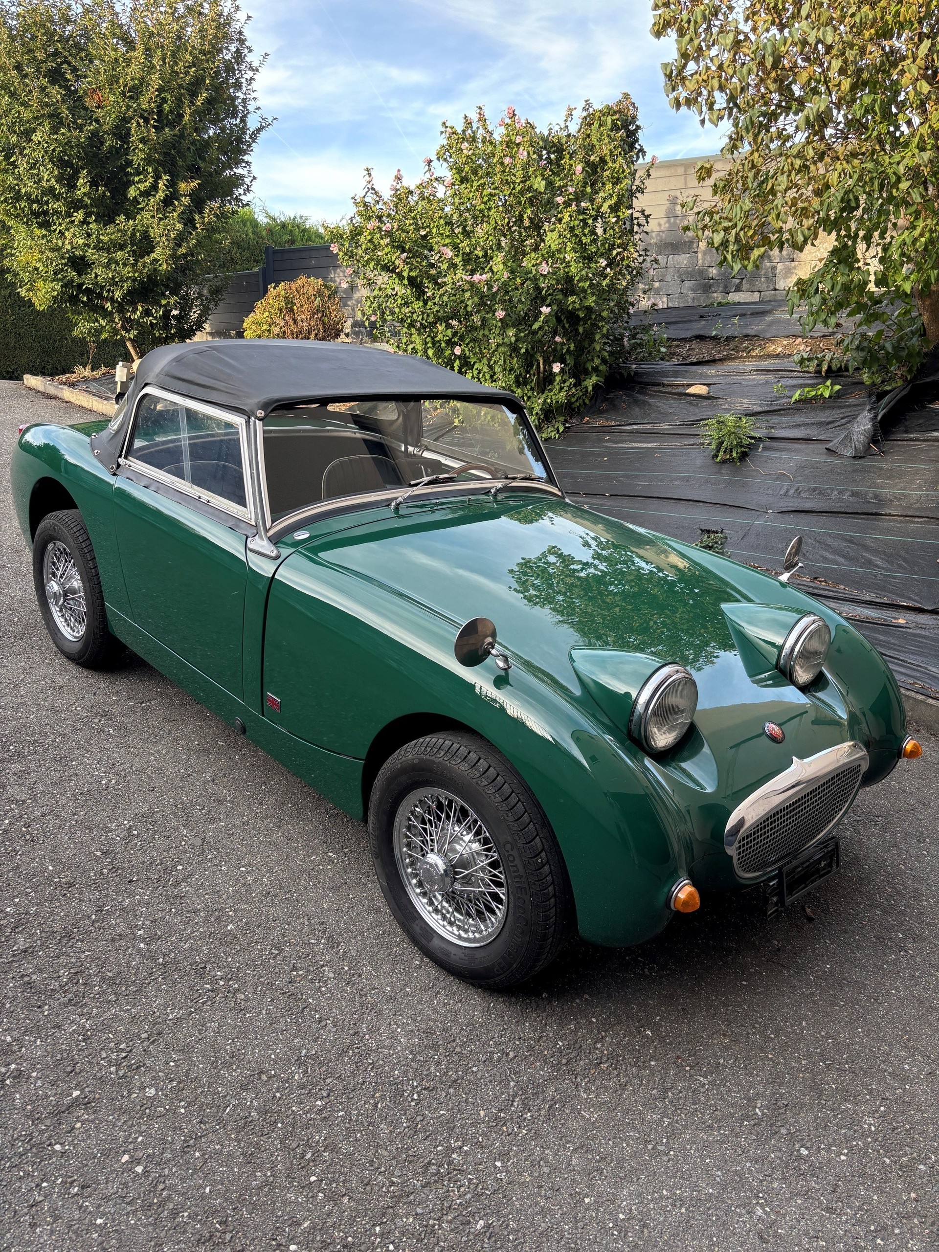 AUSTIN-HEALEY MKI (Bugeye)-image-4