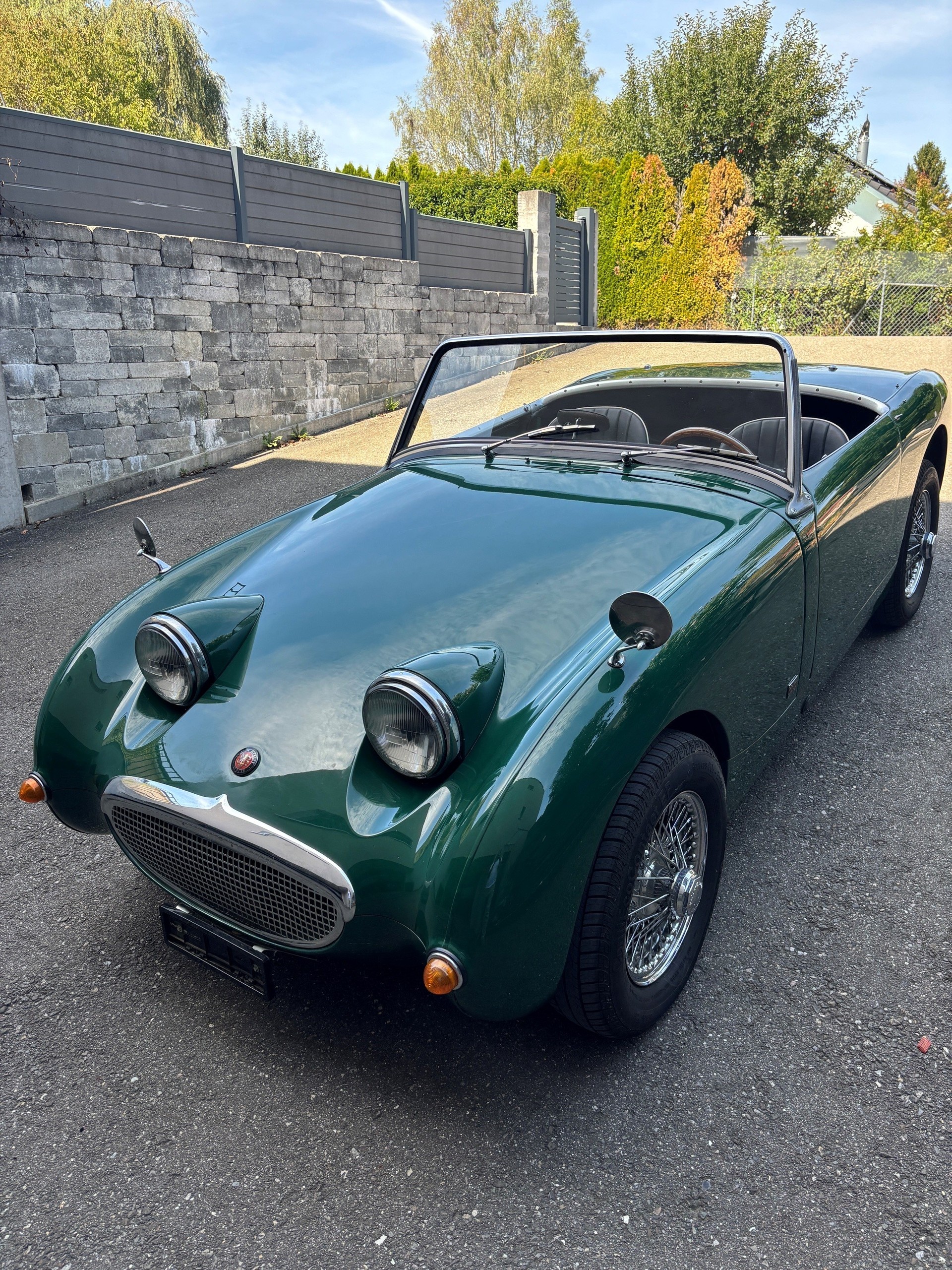 AUSTIN-HEALEY MKI (Bugeye)-image-5