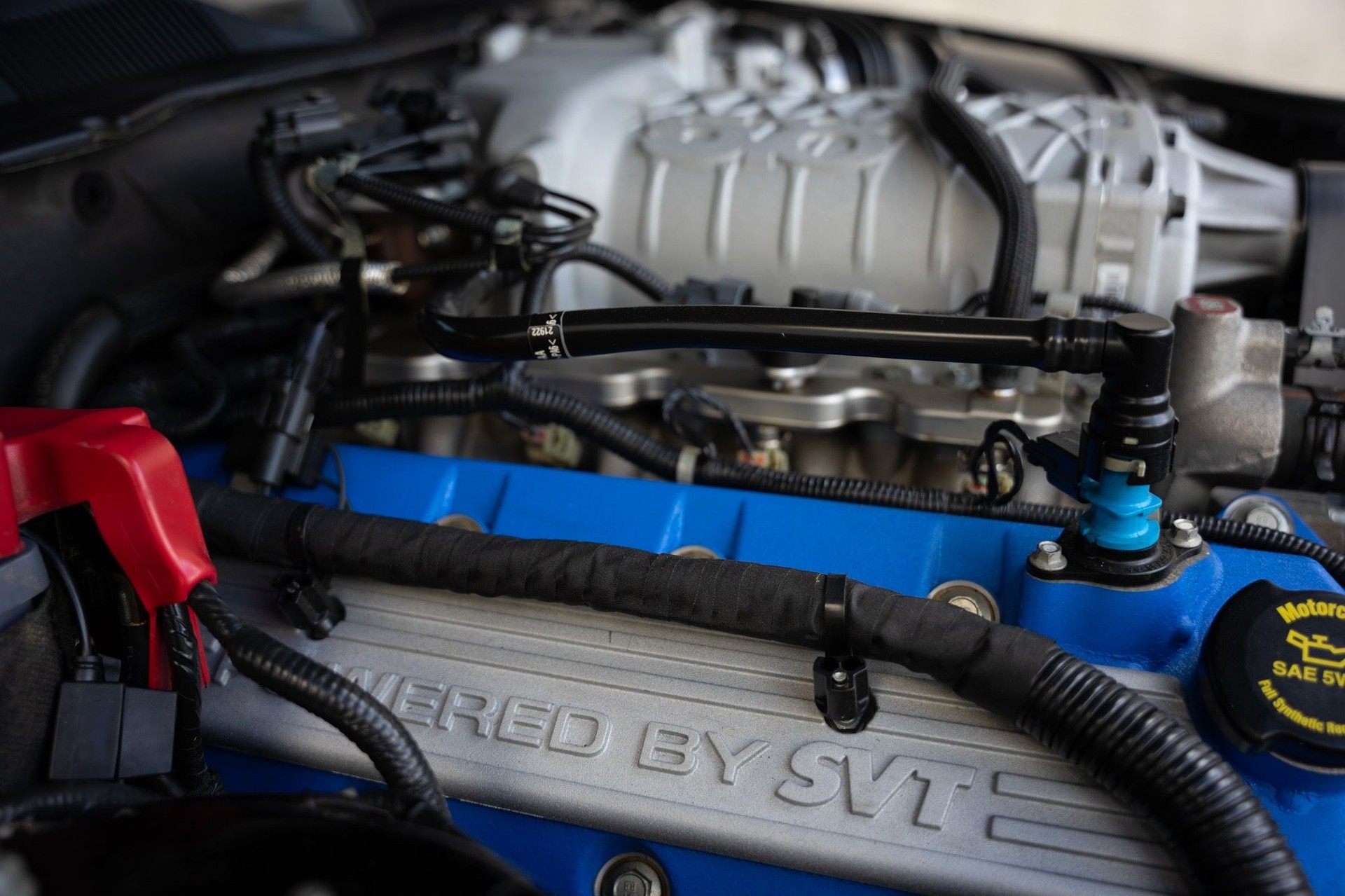FORD MUSTANG Shelby GT500 5.8 SVT-image-10