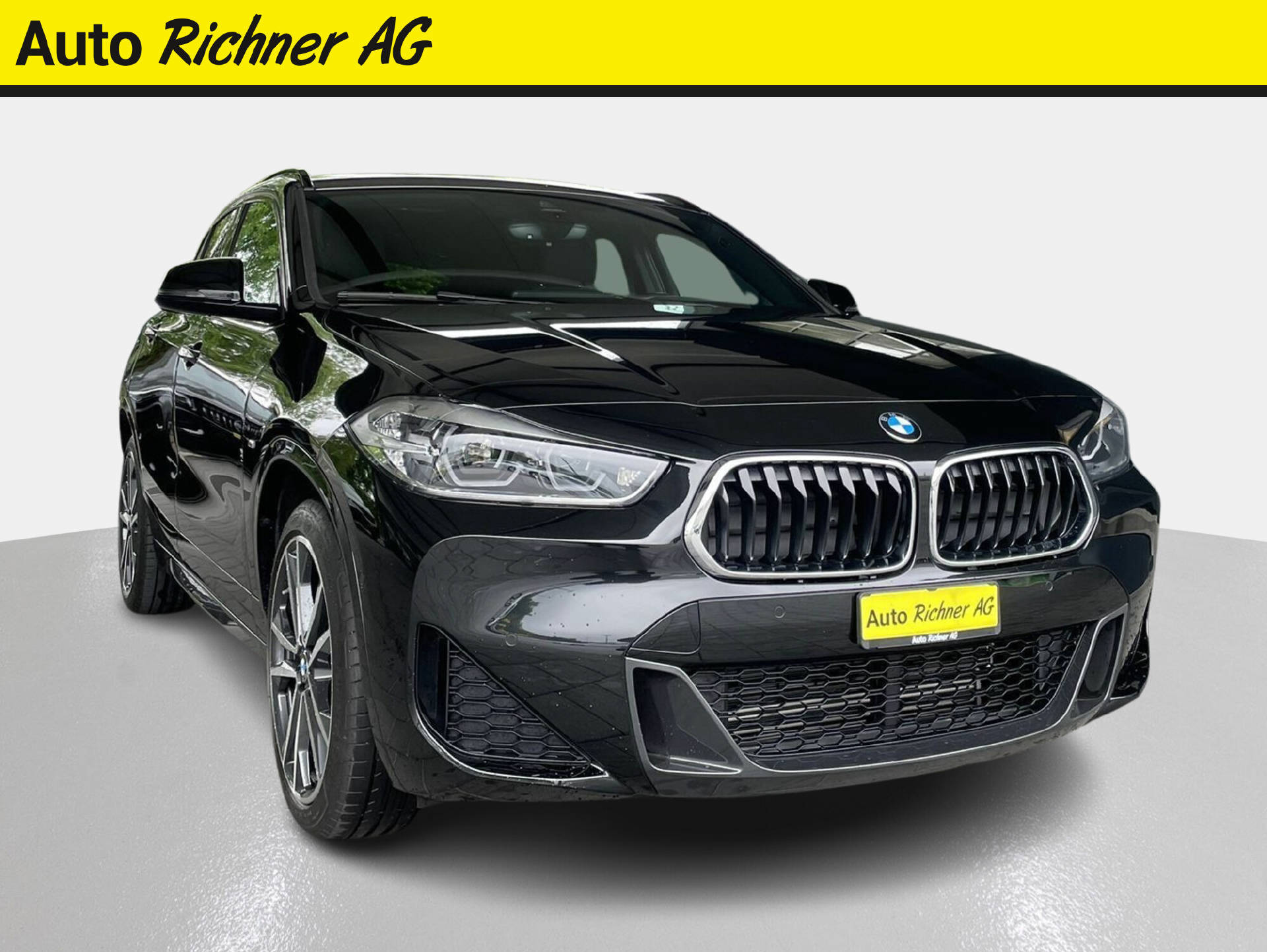 BMW X2 25e xDrive-image-0