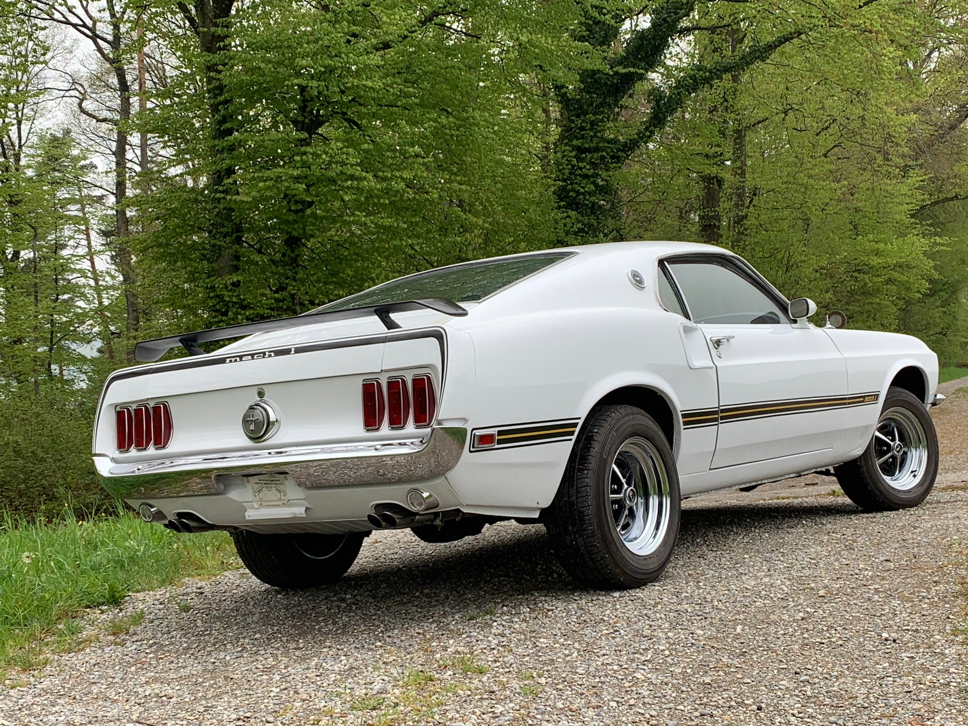 FORD Mustang Mach 1-image-4