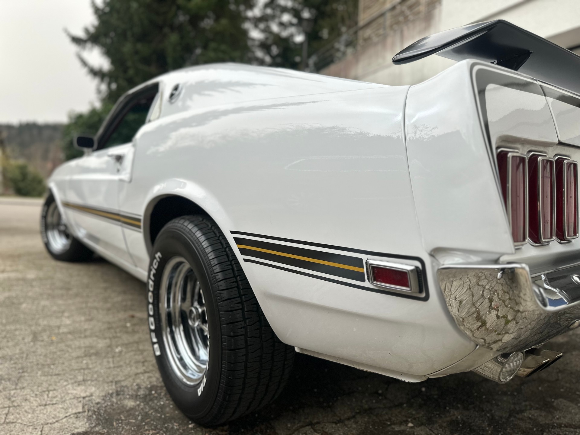 FORD Mustang Mach 1-image-2