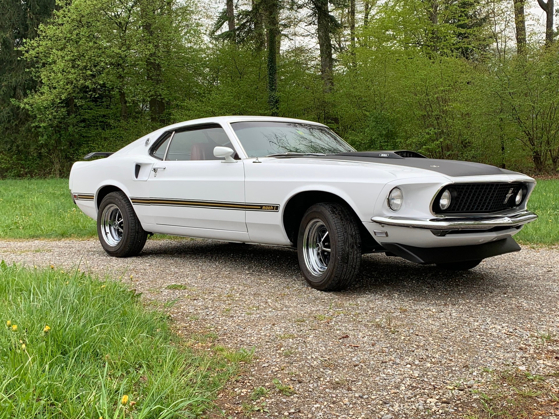 FORD Mustang Mach 1-image-3