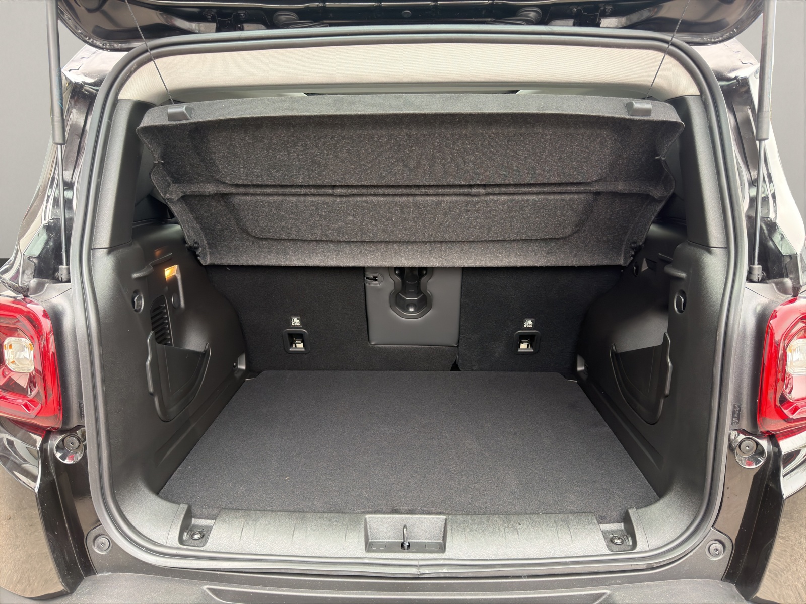 JEEP Renegade 1.5 Summit SKY-image-11