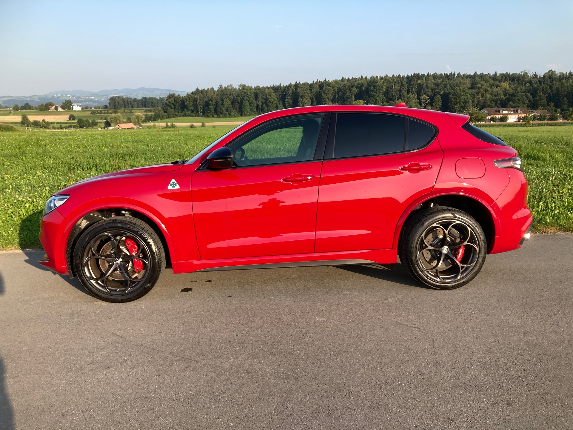 ALFA ROMEO Stelvio 2.9 V6 Quadrifoglio Q4 Automatic-image-6