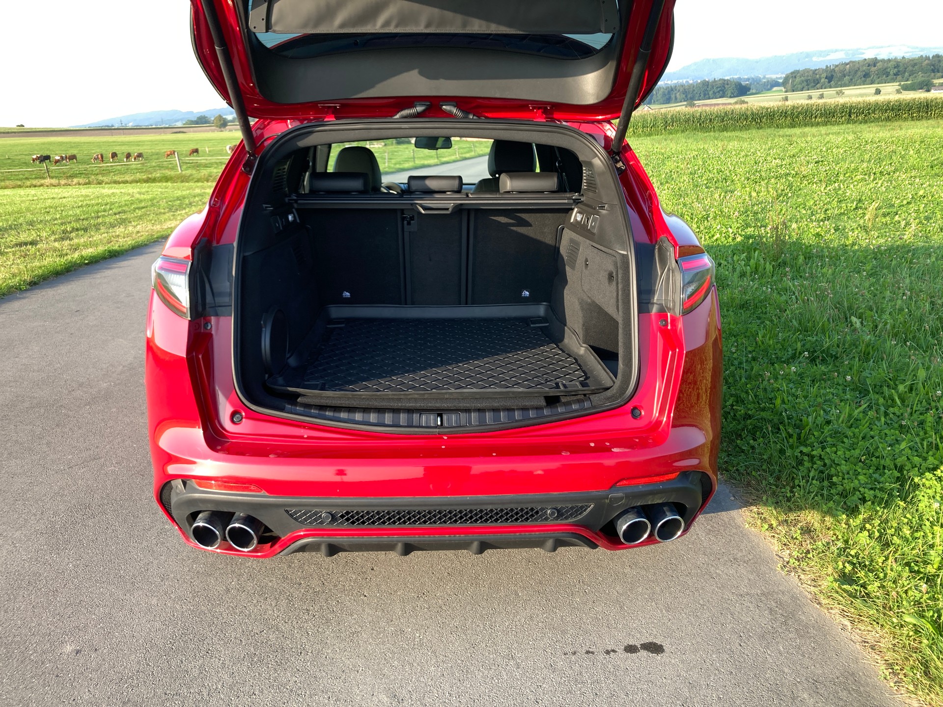 ALFA ROMEO Stelvio 2.9 V6 Quadrifoglio Q4 Automatic-image-8