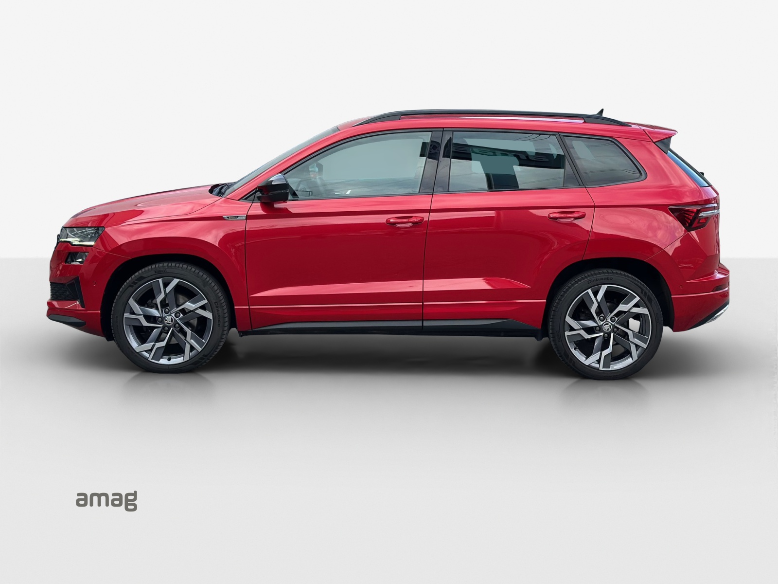 SKODA Karoq 2.0 TDI CR Sport Line 4x4 DSG-image-1