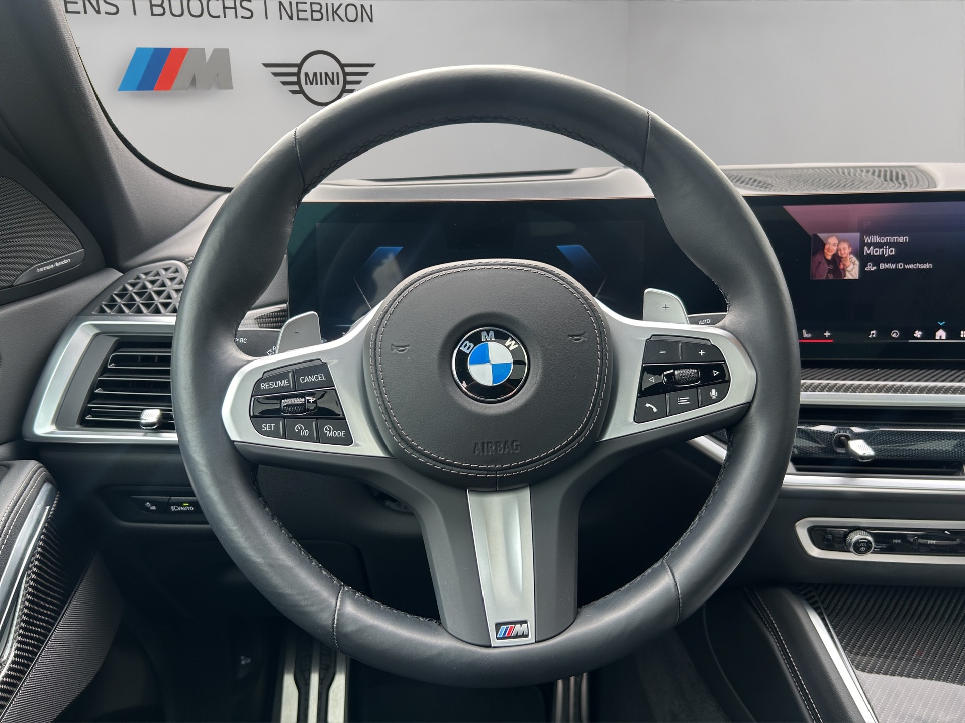 BMW X6 xDrive 48V 40d M Sport Pro Steptronic-image-10