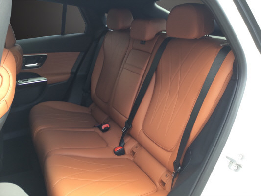 MERCEDES-BENZ GLC 450d 4M 9G-Tronic-image-10
