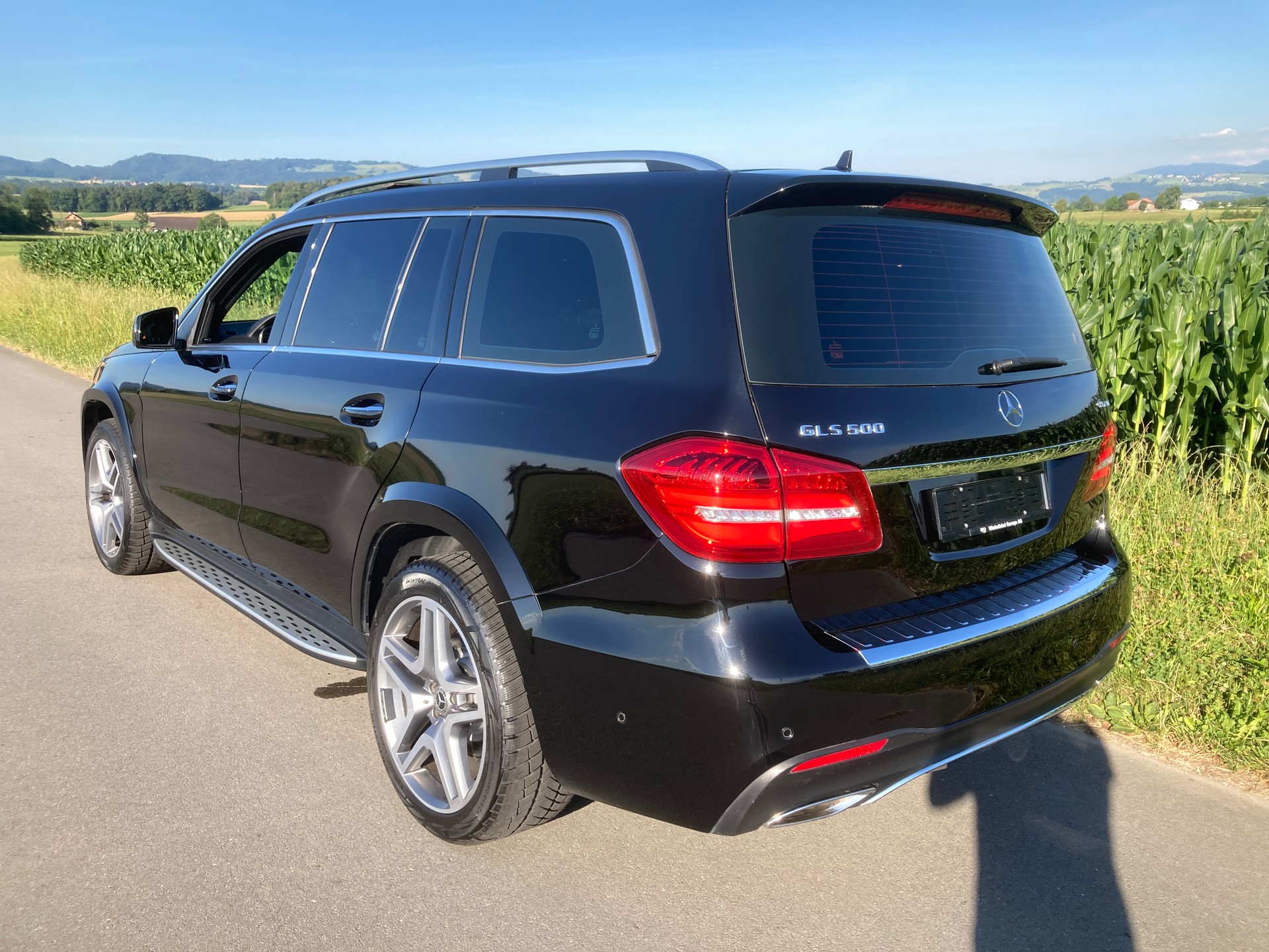 MERCEDES-BENZ GLS 500 4Matic 9G-Tronic mit Anhängerkupplung und Standheizung-image-3