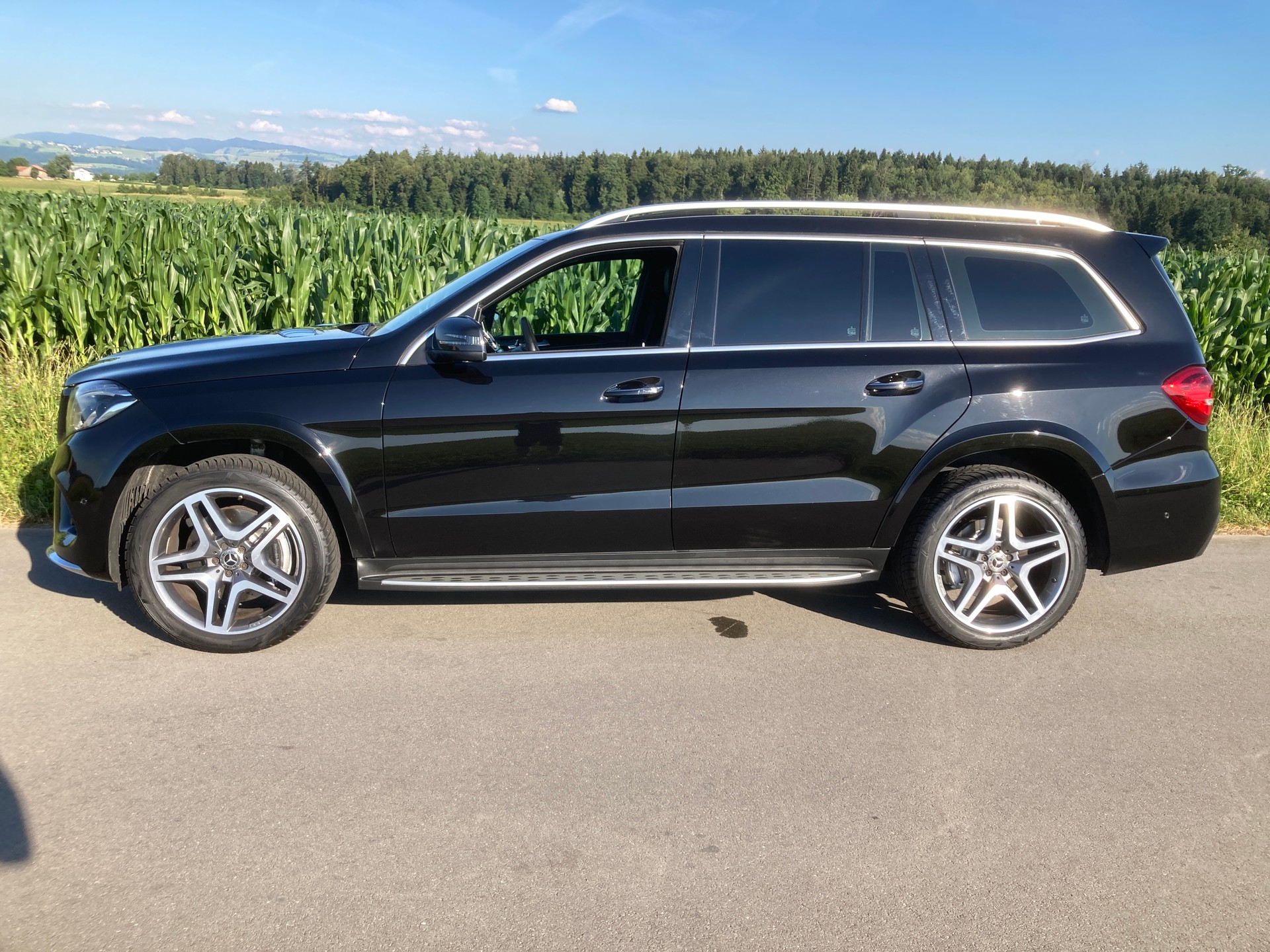 MERCEDES-BENZ GLS 500 4Matic 9G-Tronic mit Anhängerkupplung und Standheizung-image-4