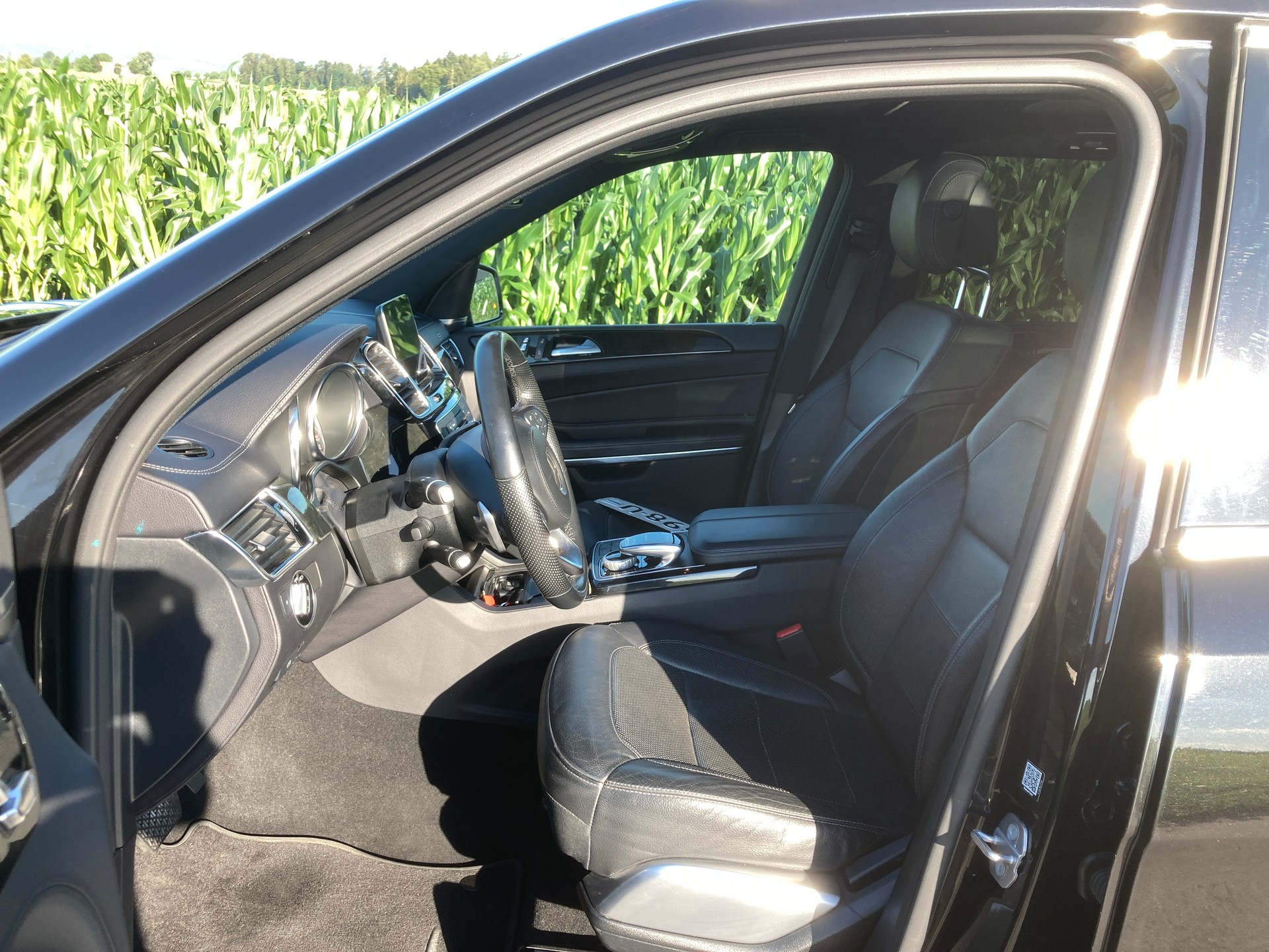 MERCEDES-BENZ GLS 500 4Matic 9G-Tronic mit Anhängerkupplung und Standheizung-image-8