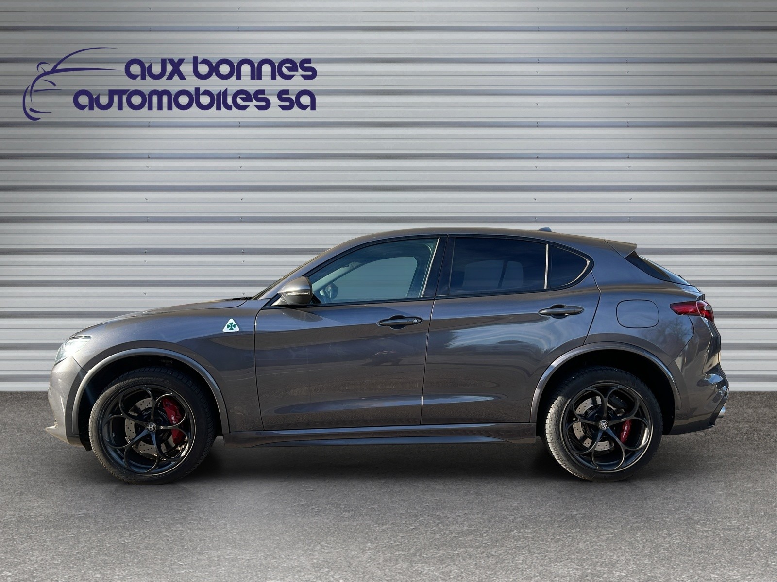 ALFA ROMEO Stelvio 2.9 V6 Quadrifoglio Q4 Automatic-image-7