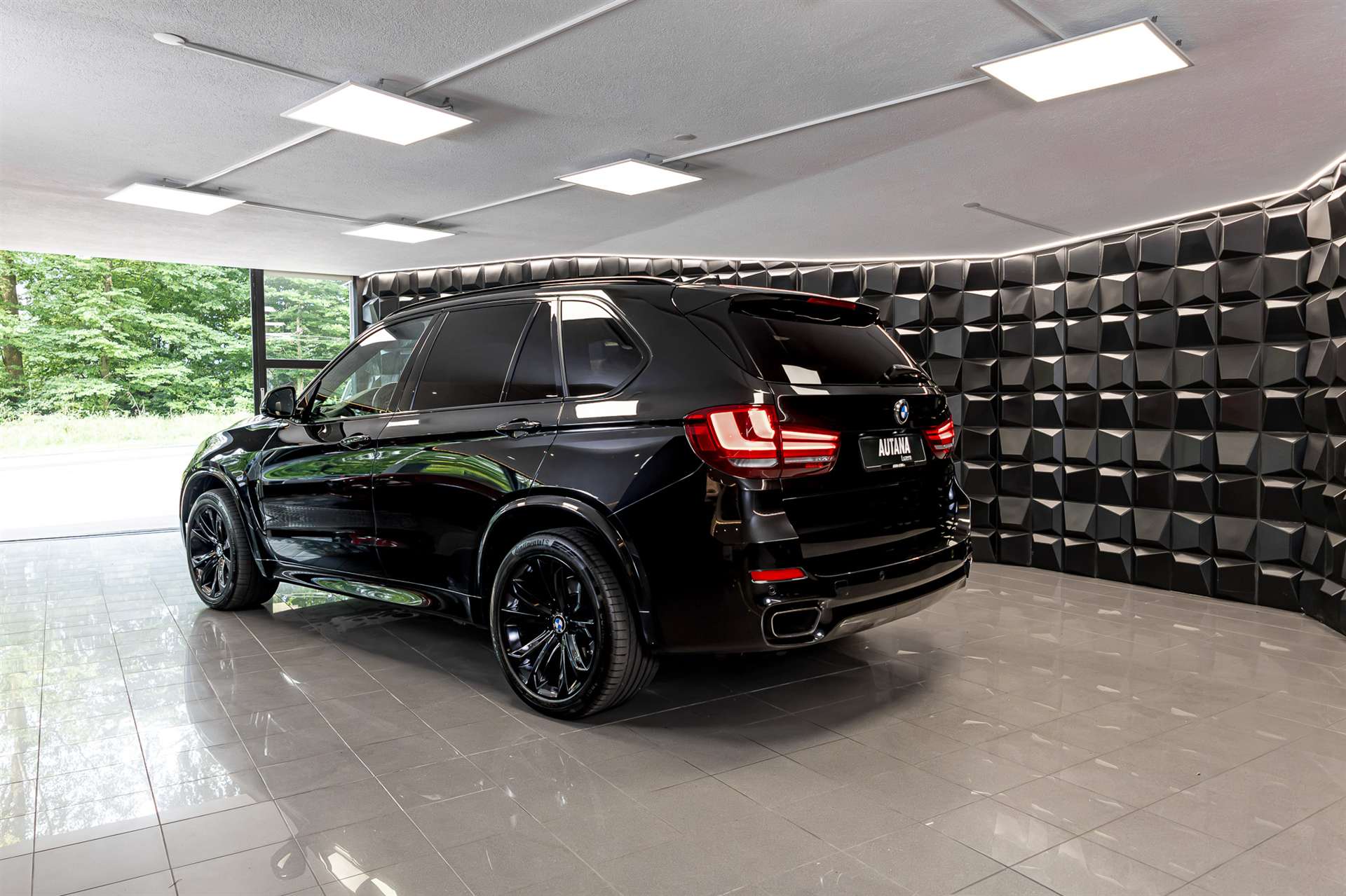 BMW X5 xDrive 50i Steptronic-showroom-element-2