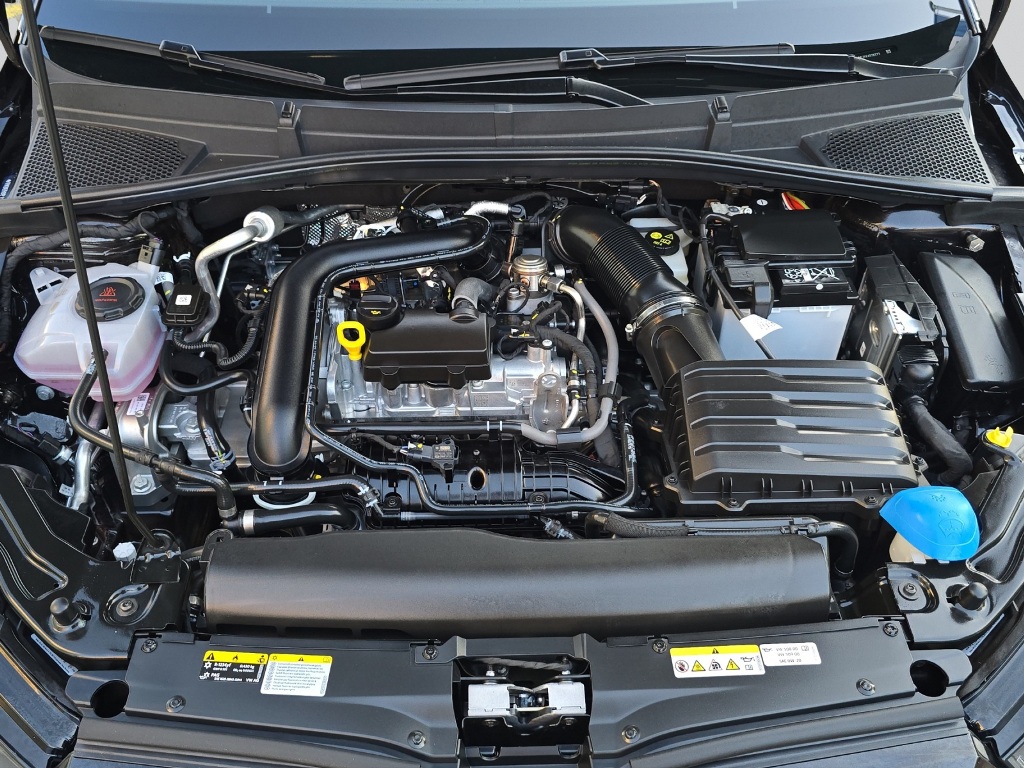 SKODA Fabia 1.0 TSI Monte Carlo DSG-image-24