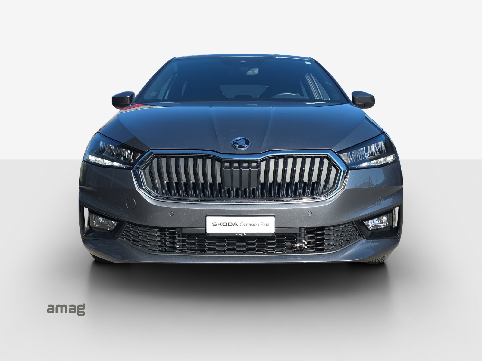 SKODA Fabia 1.0 TSI Dynamic DSG-image-6