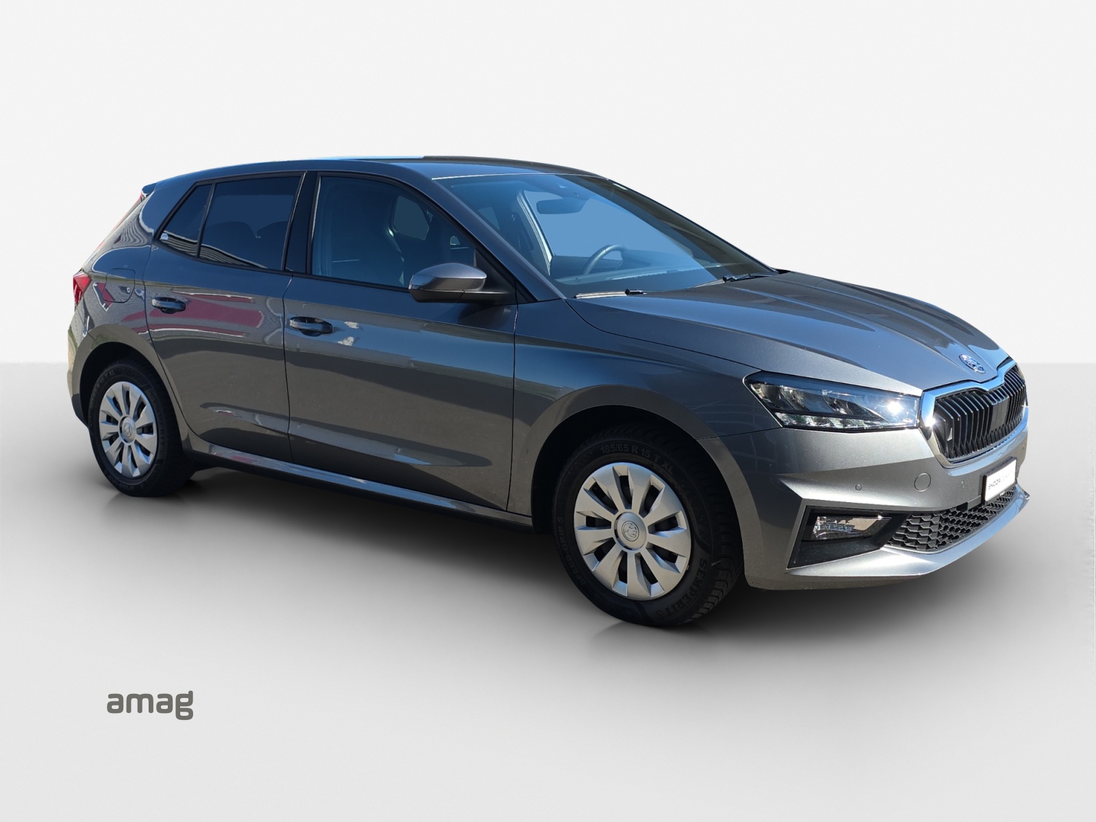 SKODA Fabia 1.0 TSI Dynamic DSG-image-5