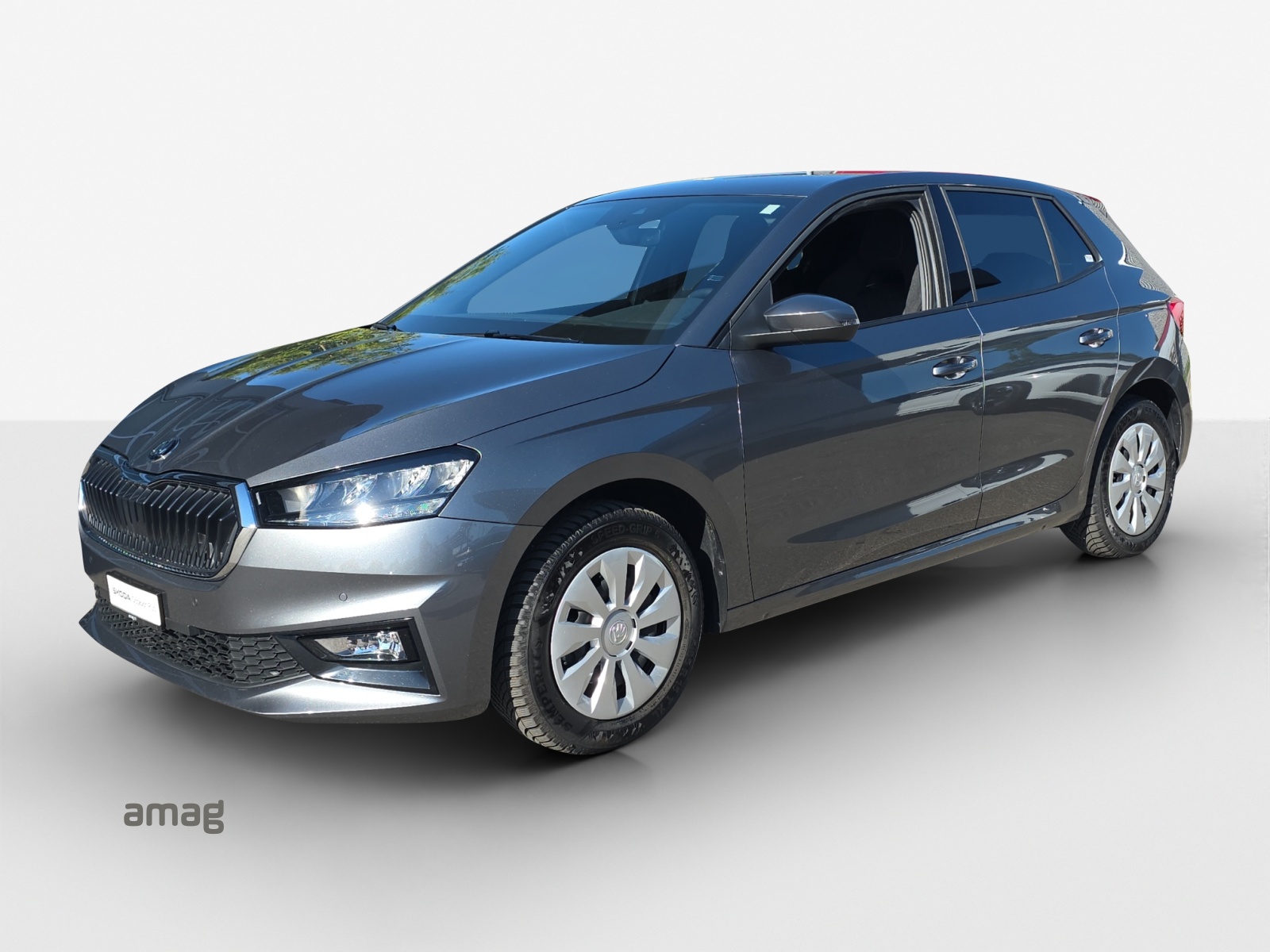 SKODA Fabia 1.0 TSI Dynamic DSG-image-0