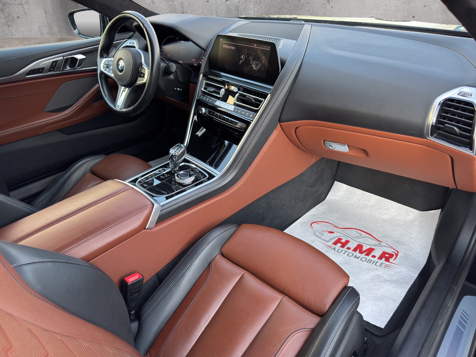 BMW M850i xDrive Steptronic-image-10