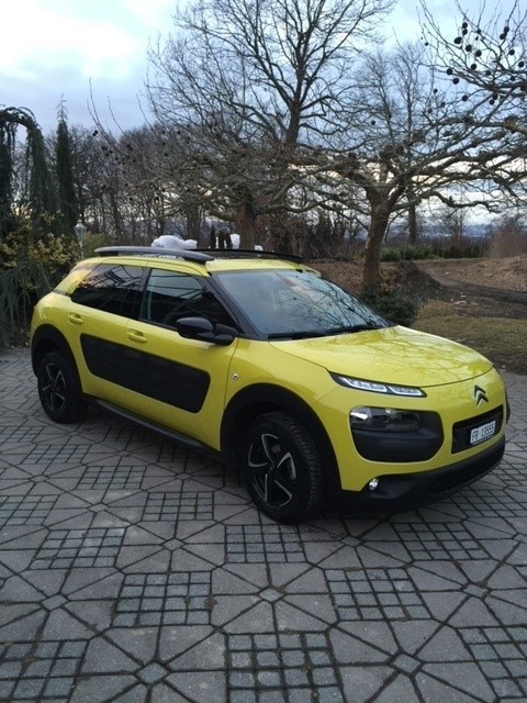 CITROEN C4 Cactus 1.6 BlueHDi Shine-image-2