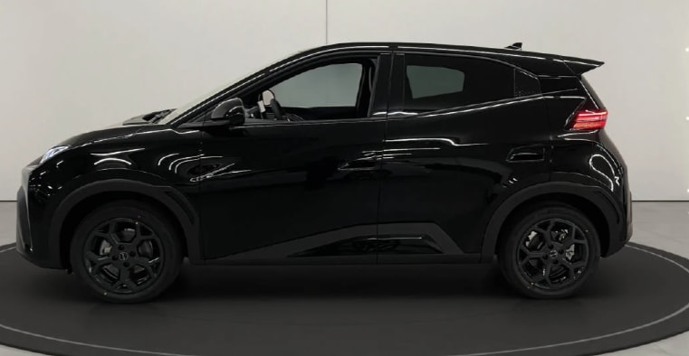 BYD Dolphin Surf 43 kWh Comfort-image-2