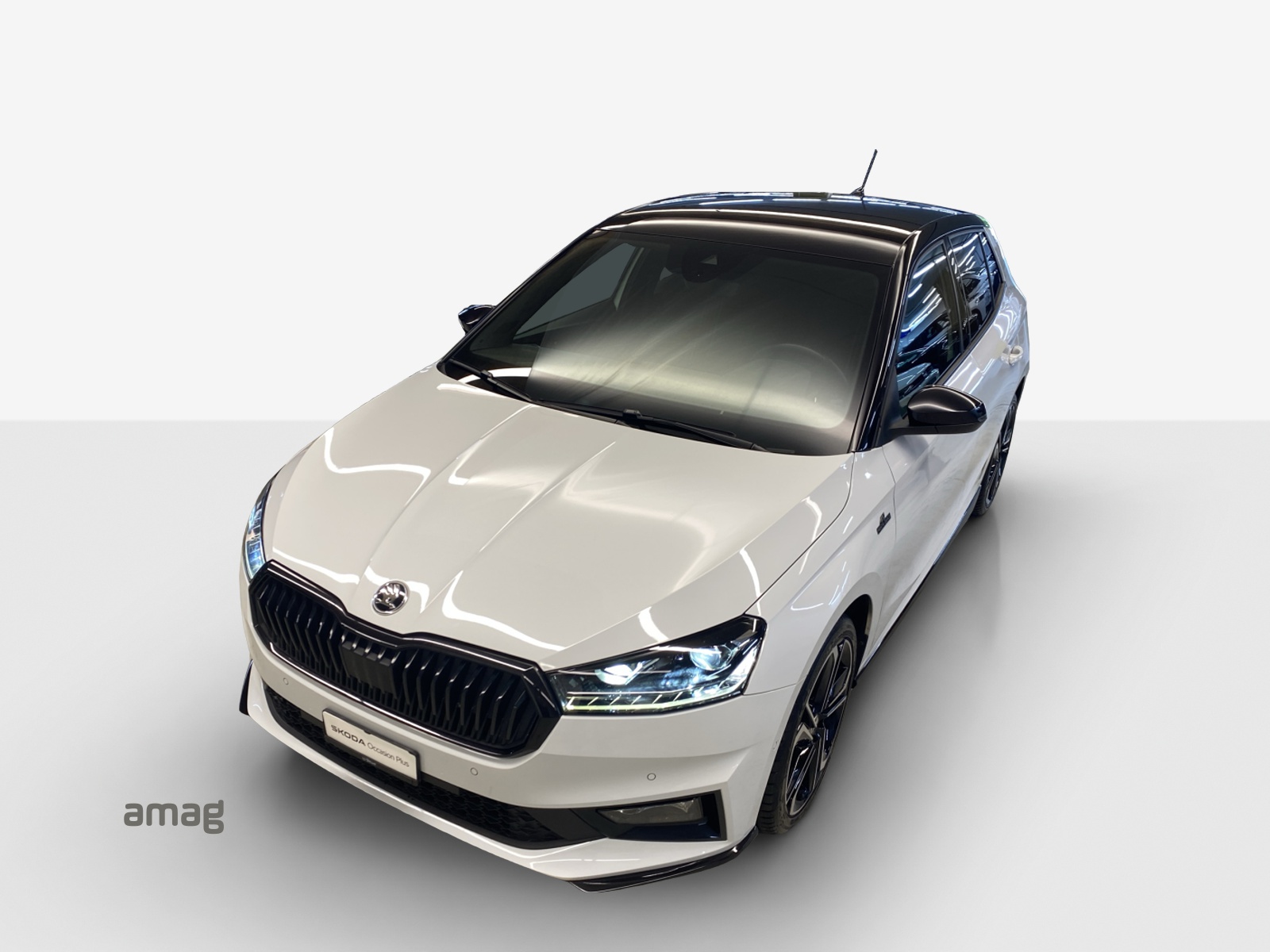 SKODA Fabia 1.0 TSI Monte Carlo DSG-image-15