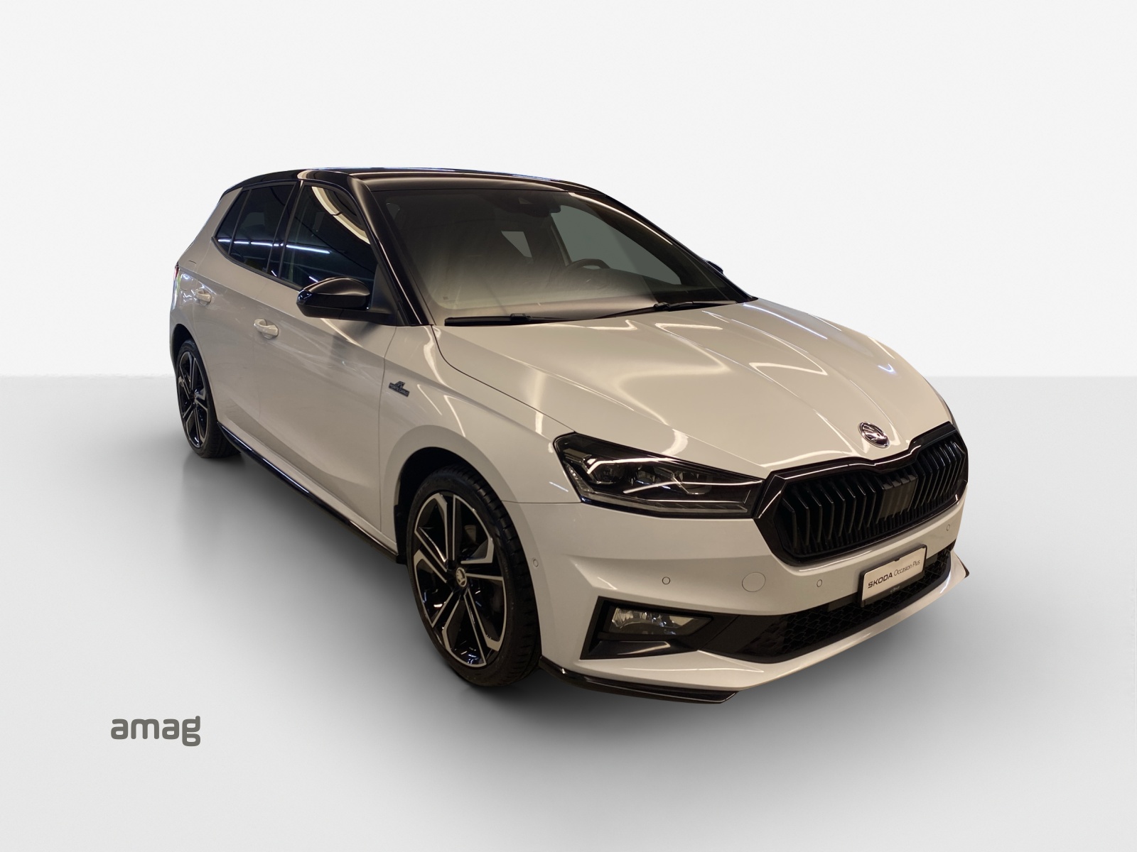 SKODA Fabia 1.0 TSI Monte Carlo DSG-image-5