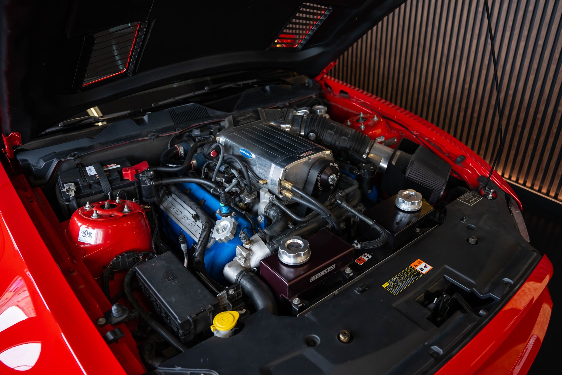 FORD MUSTANG Shelby GT 500 SuperSnake-image-40