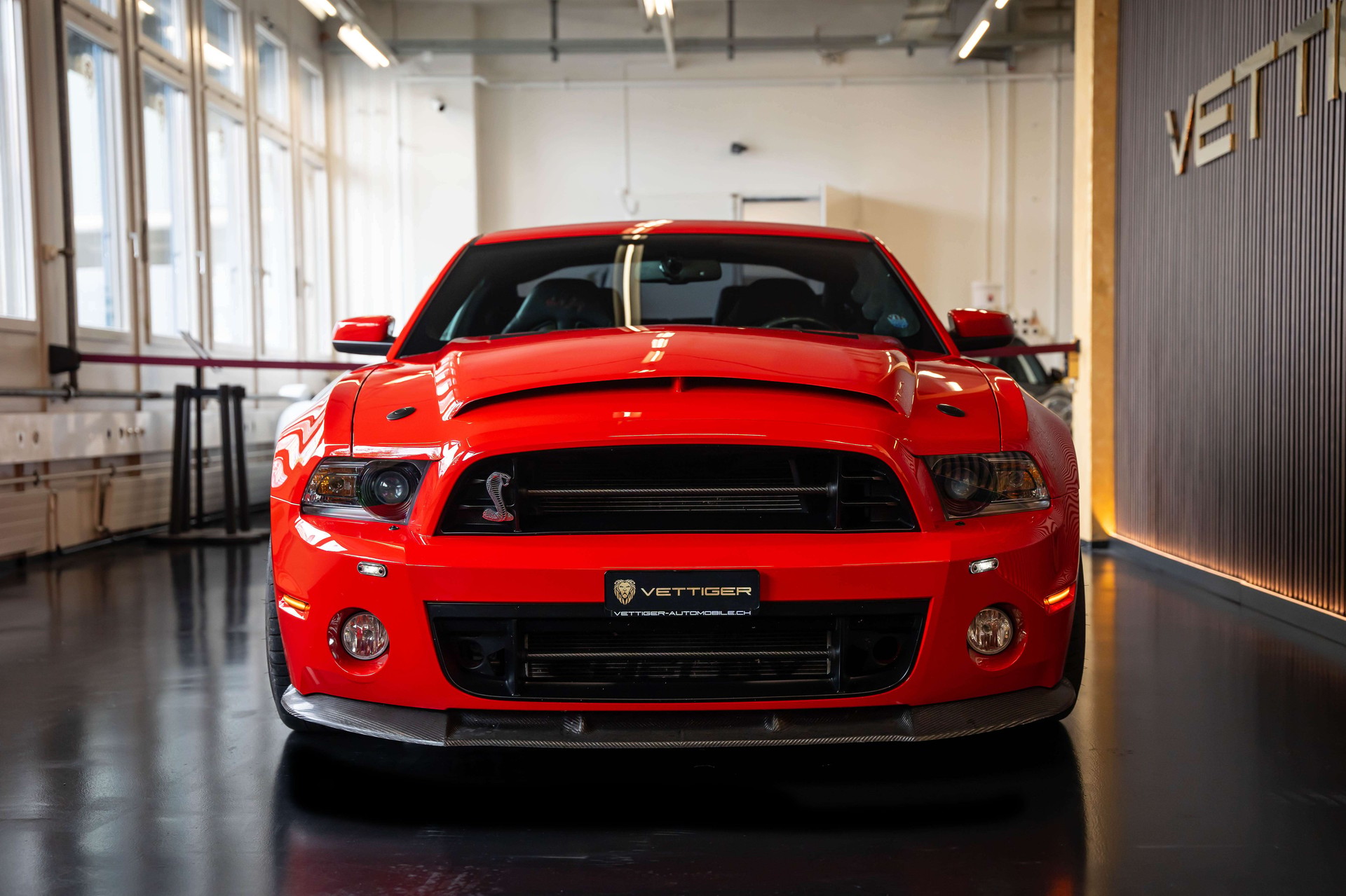 FORD MUSTANG Shelby GT 500 SuperSnake-showroom-element-1