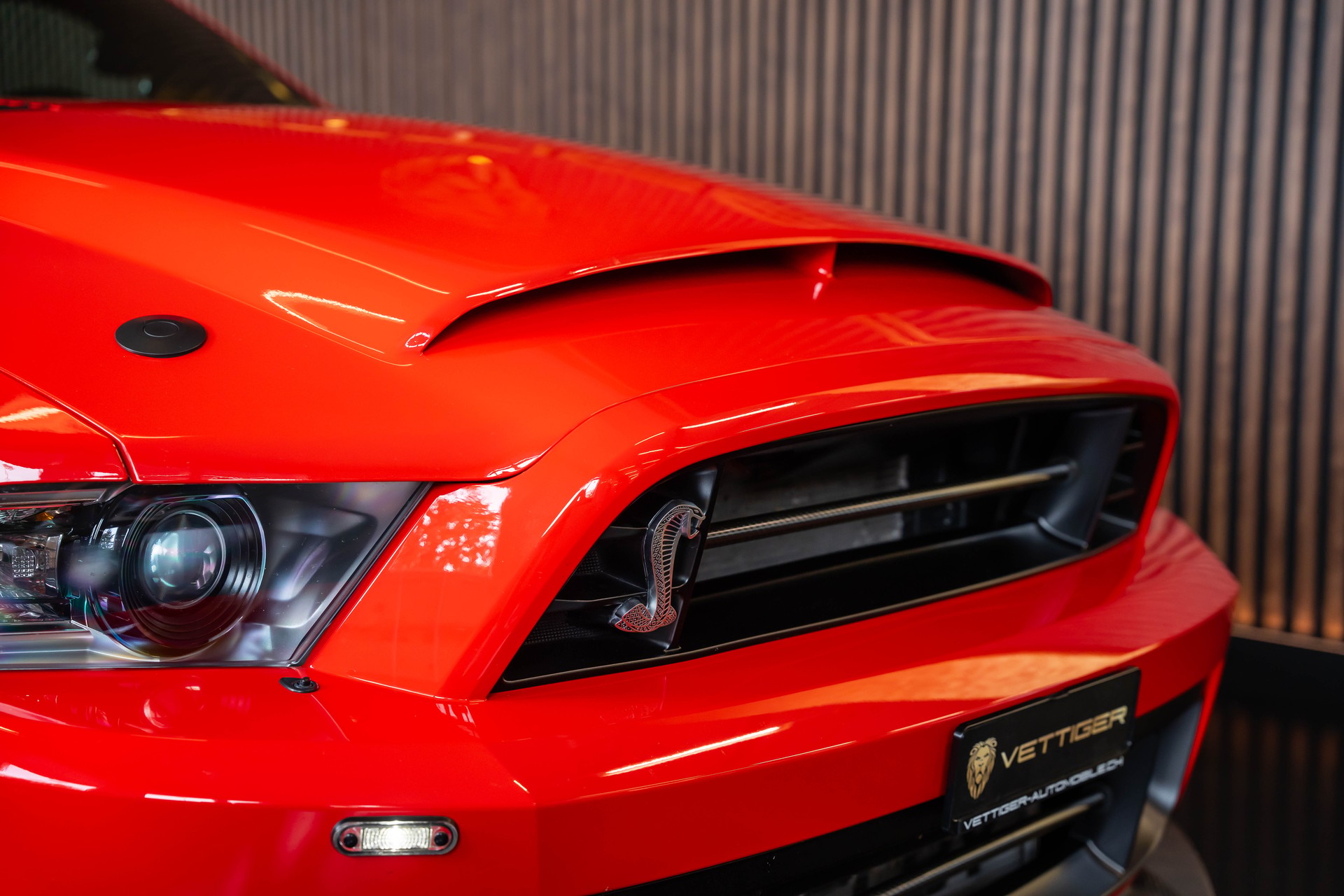 FORD MUSTANG Shelby GT 500 SuperSnake-image-9