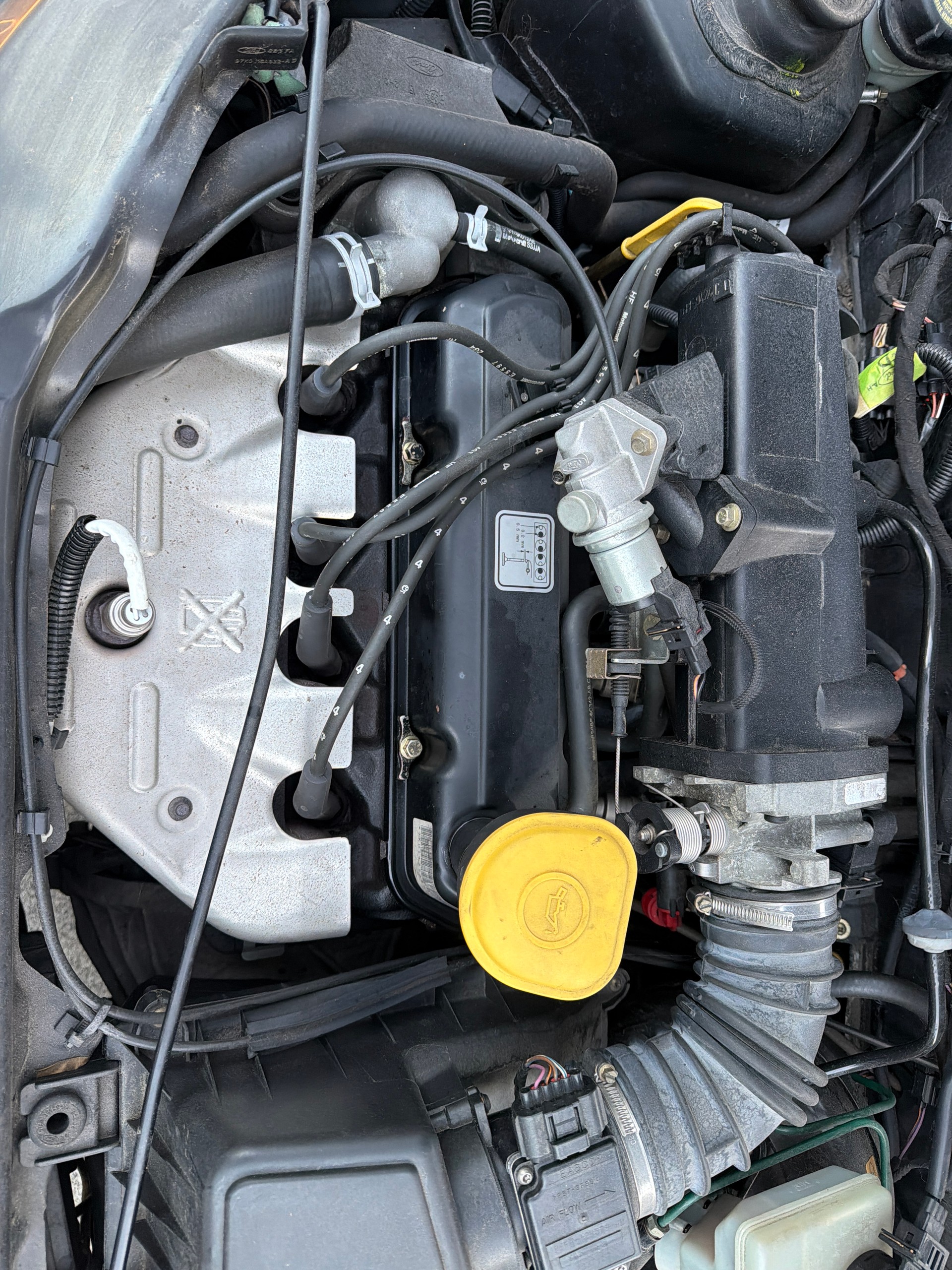 FORD KA 1.3-image-13