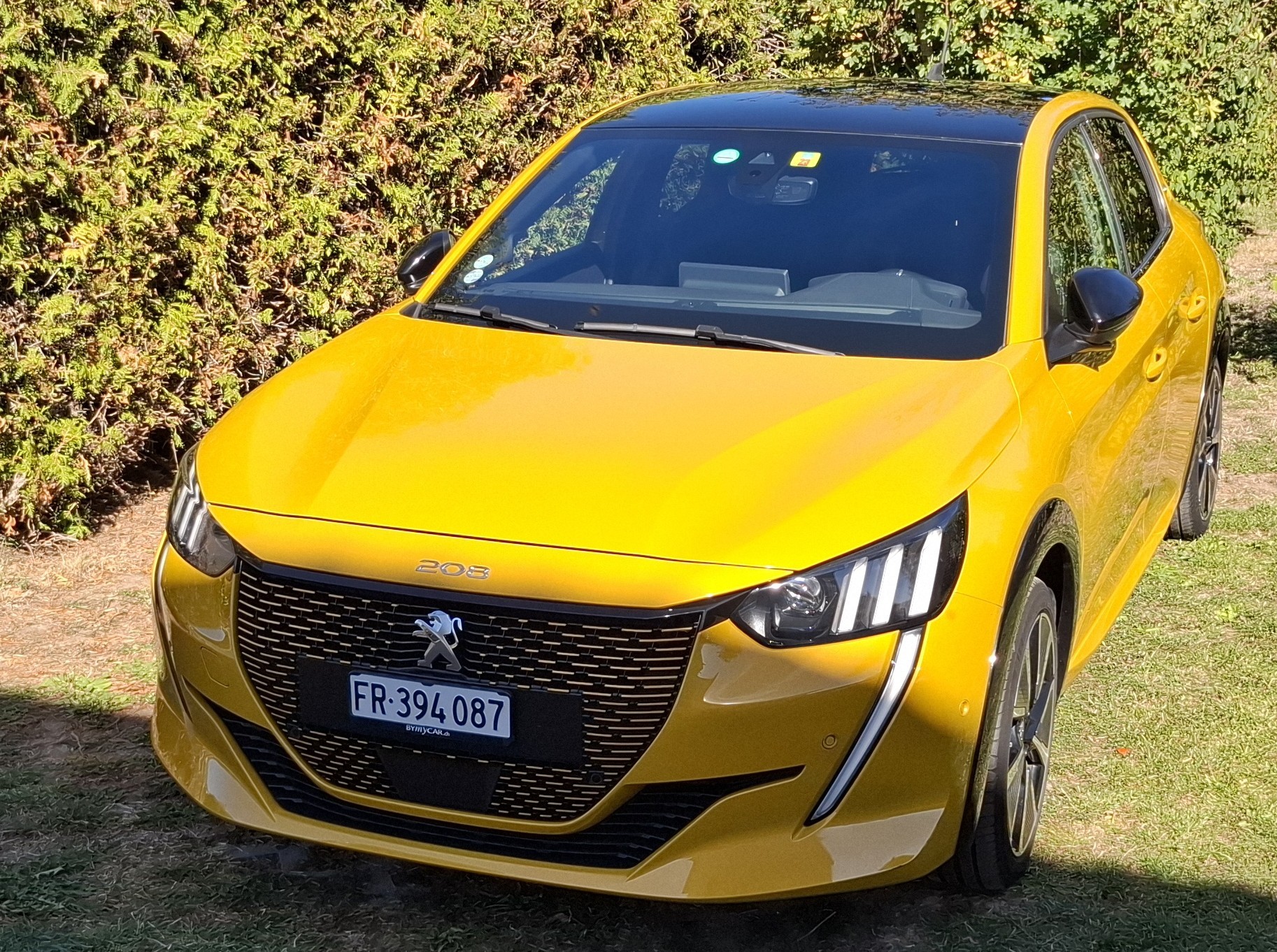Car photo