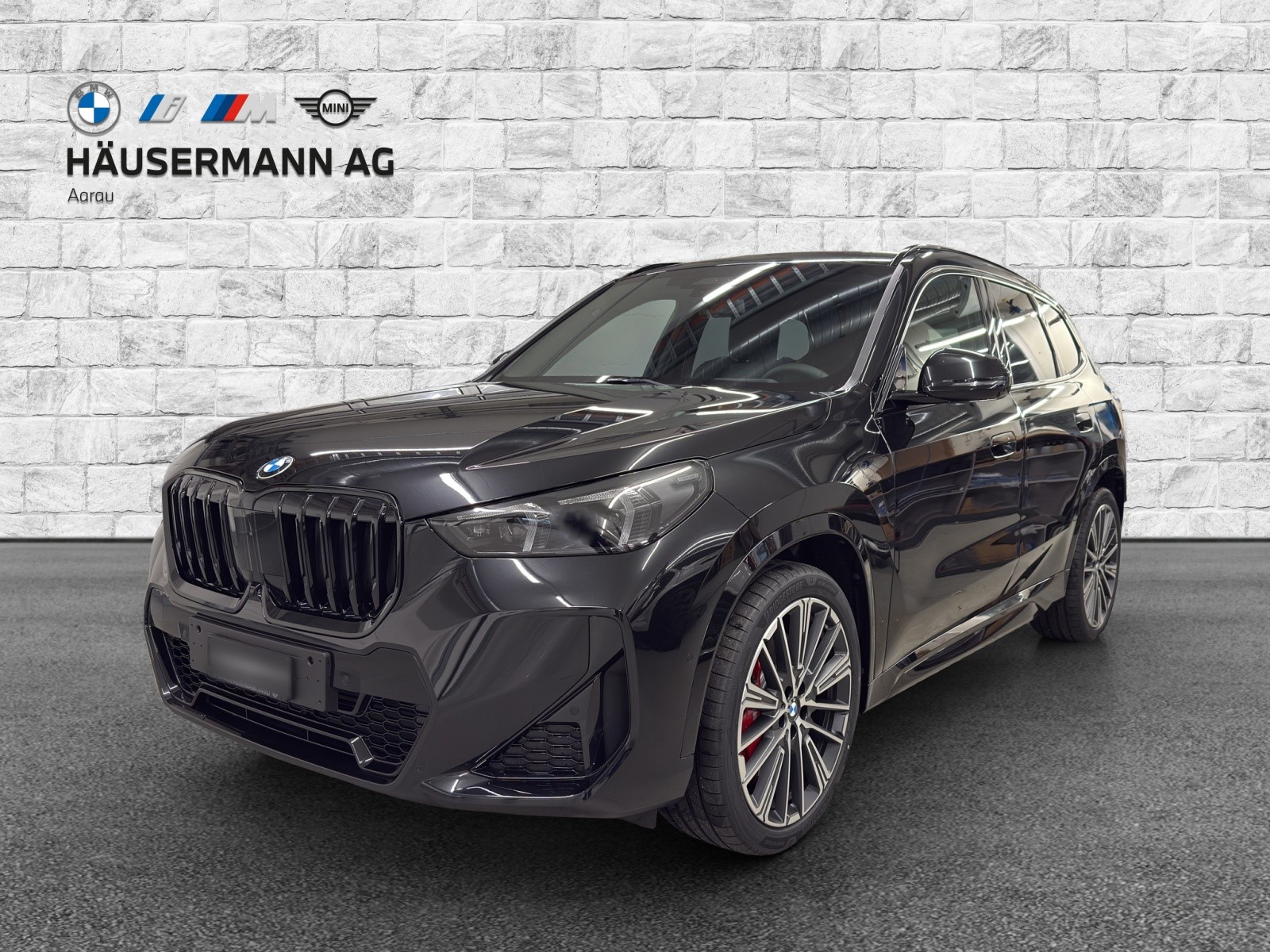 BMW X1 xDrive 23d 48V M Sport Pro