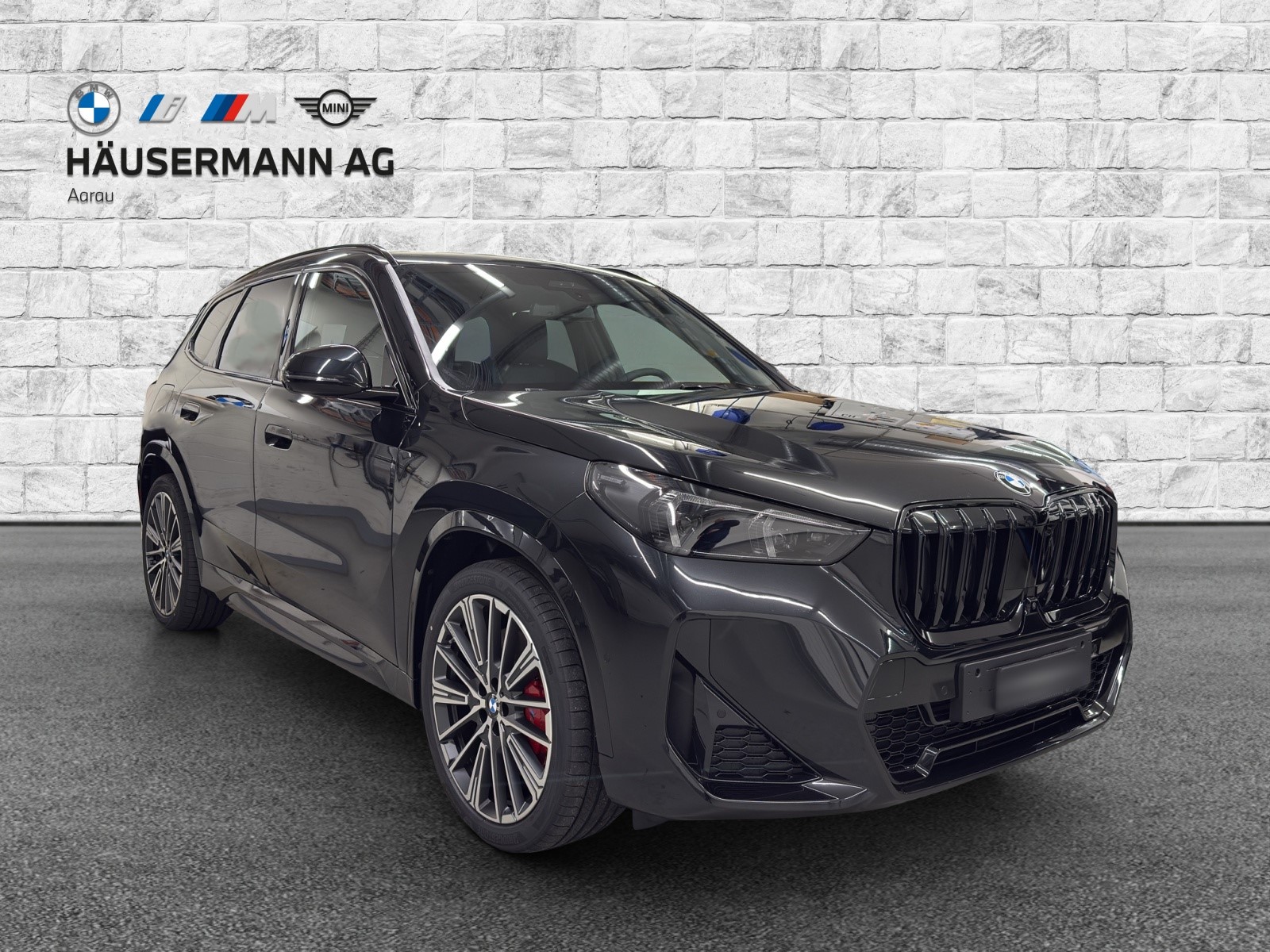 BMW X1 xDrive 23d 48V M Sport Pro-image-2