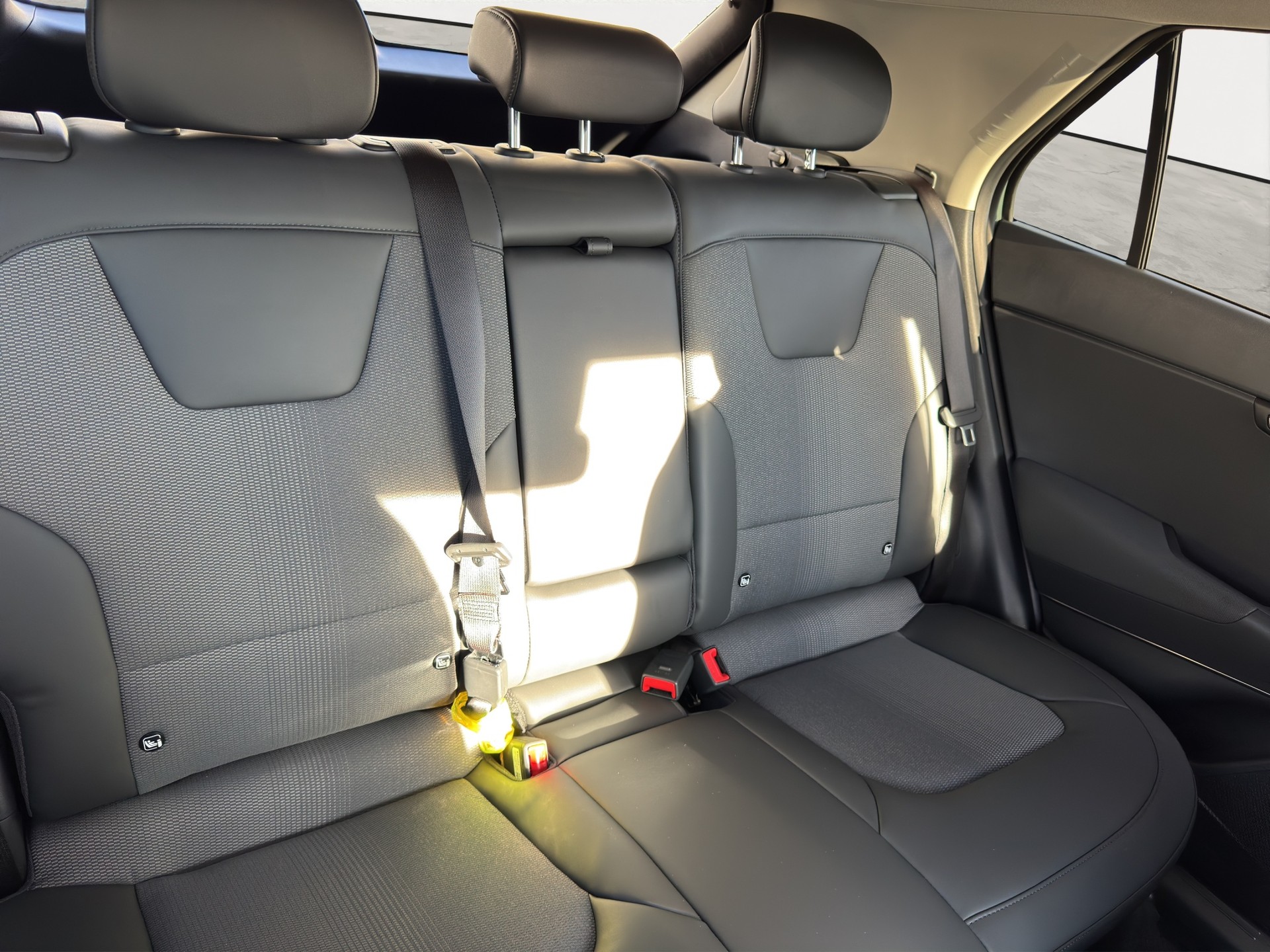 KIA Niro EV 64,8 kWh Light Advanced-image-13