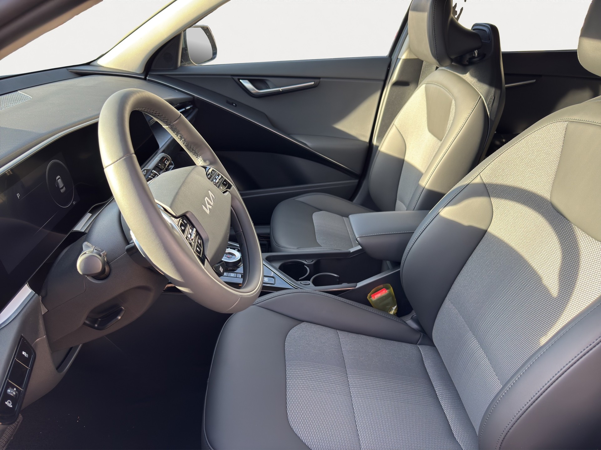 KIA Niro EV 64,8 kWh Light Advanced-image-9