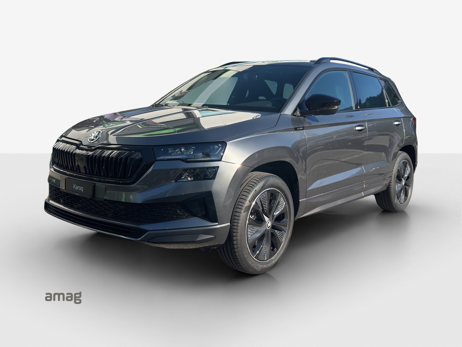 SKODA Karoq 2.0 TSI Dynamic Limited Edition 4x4 DSG