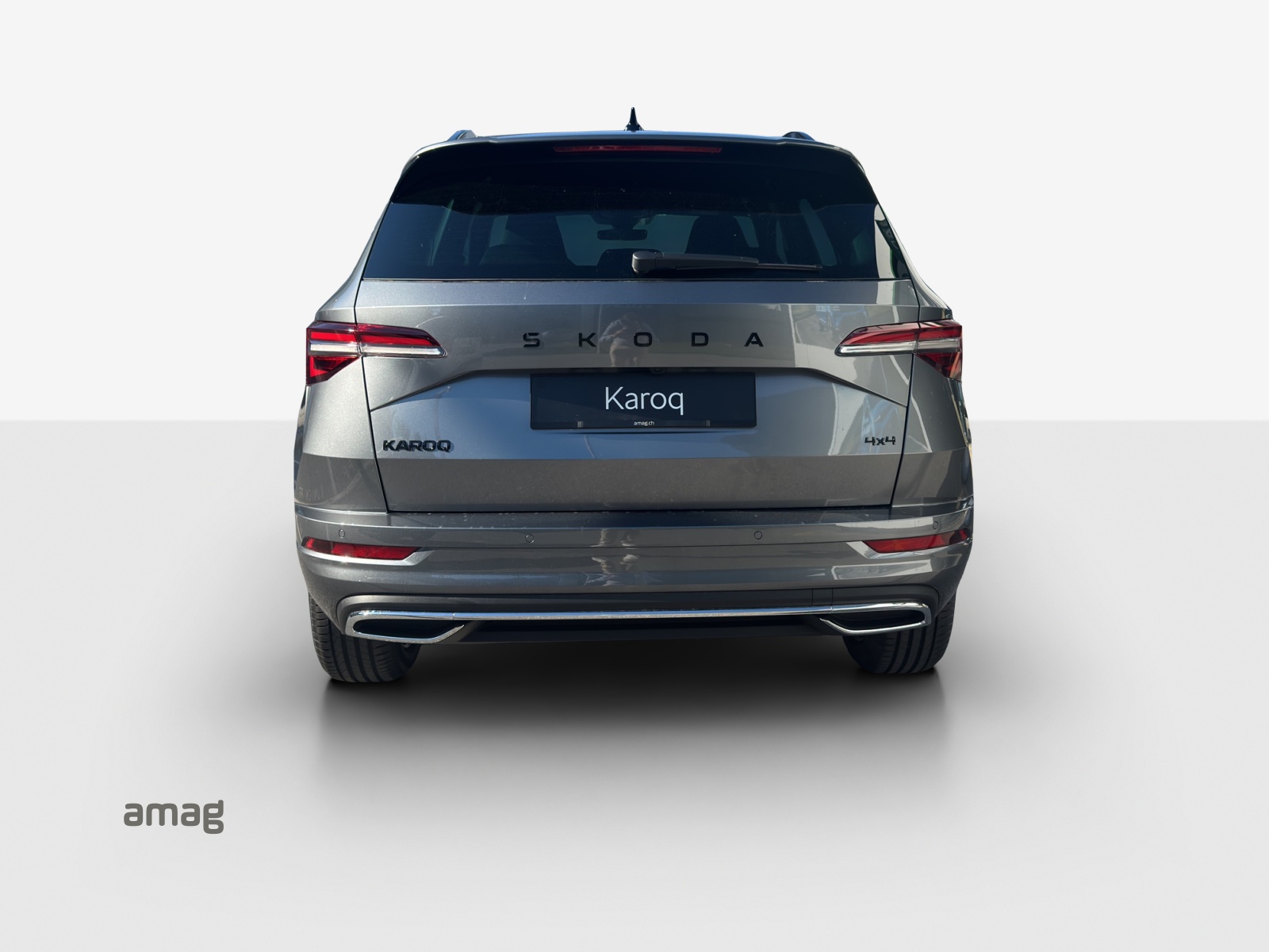 SKODA Karoq 2.0 TSI Dynamic Limited Edition 4x4 DSG-showroom-element-3
