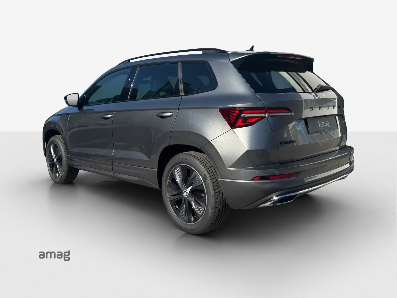 SKODA Karoq 2.0 TSI Dynamic Limited Edition 4x4 DSG-showroom-element-2