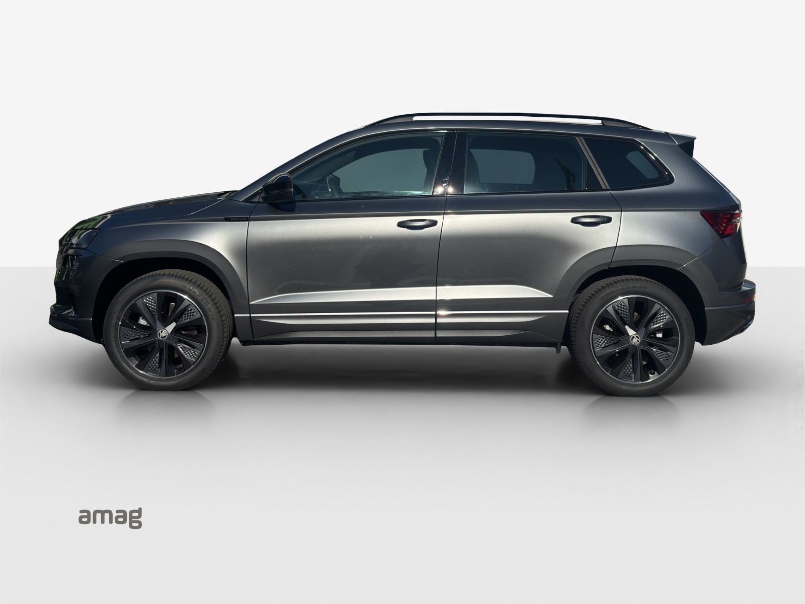 SKODA Karoq 2.0 TSI Dynamic Limited Edition 4x4 DSG-image-1