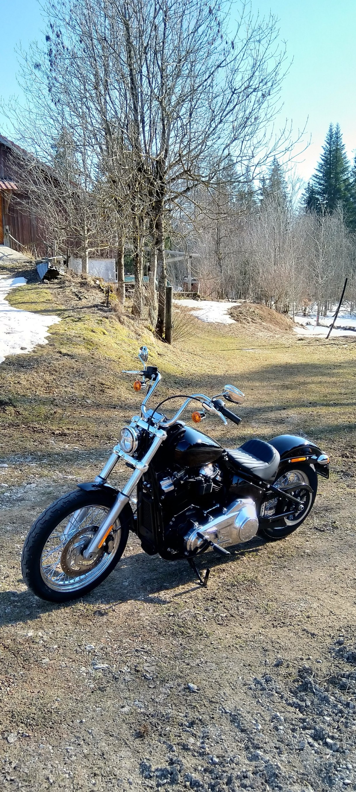 HARLEY-DAVIDSON FXST-image-1