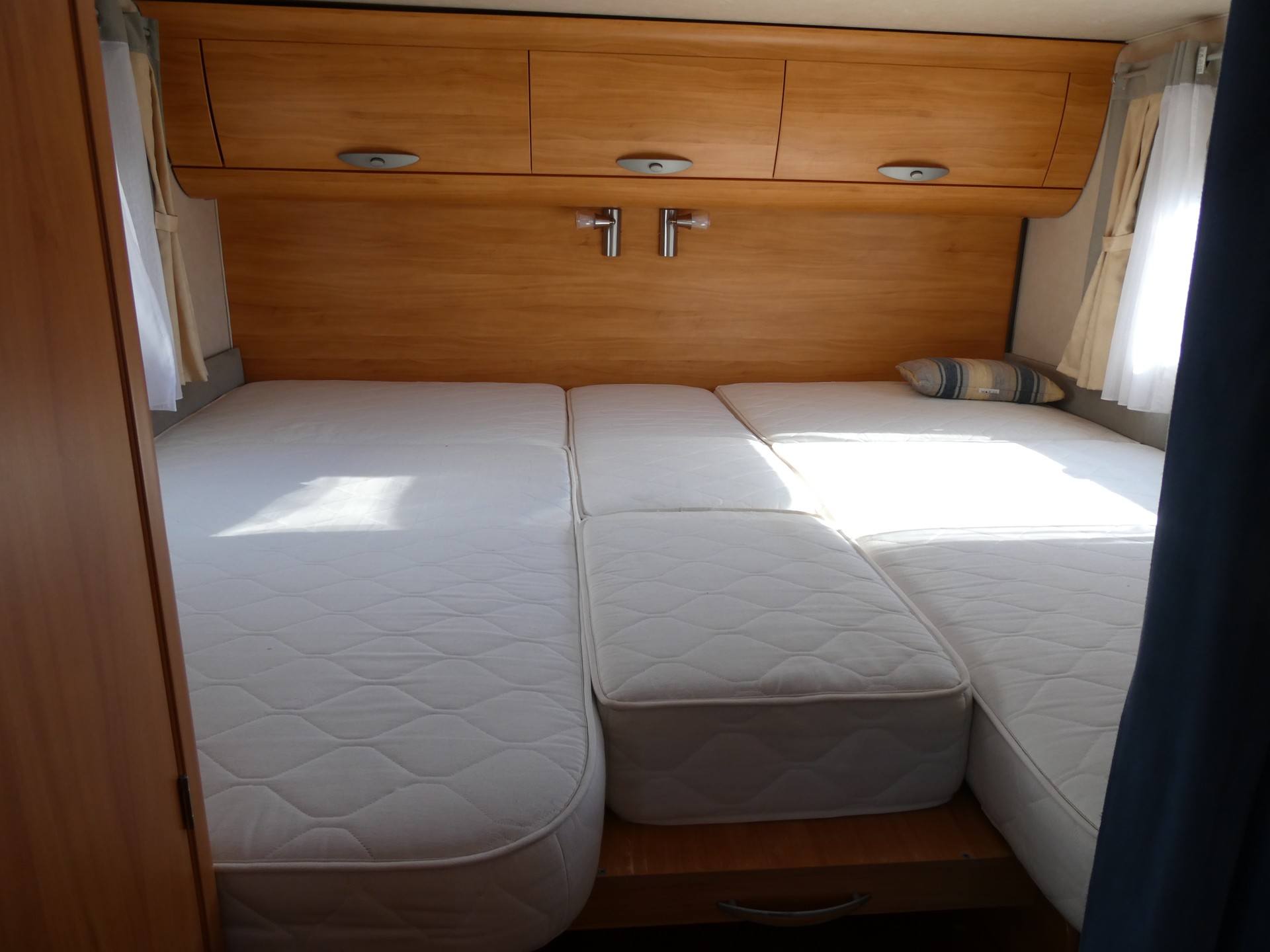 ADRIA Coral-image-5