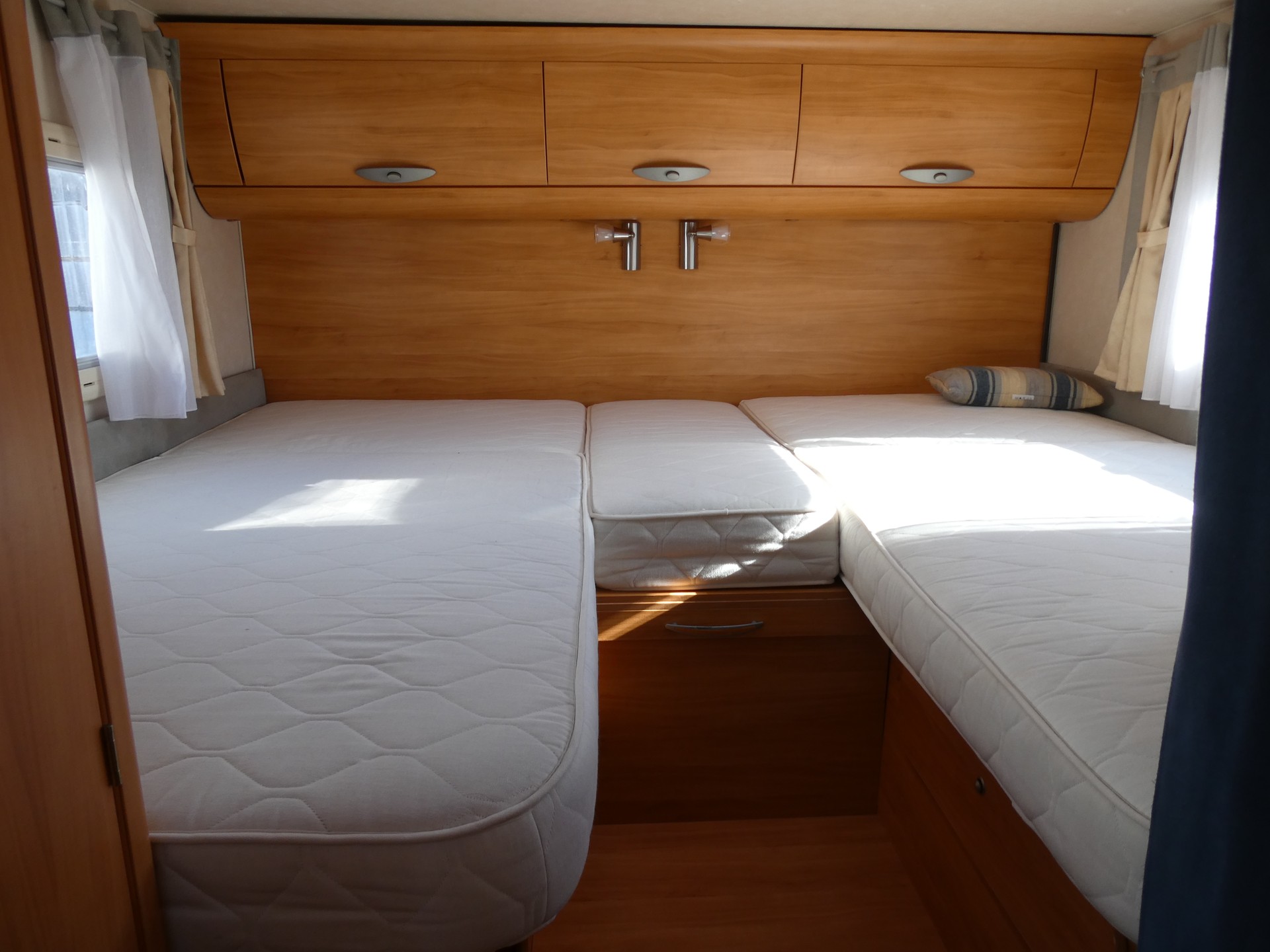 ADRIA Coral-image-4