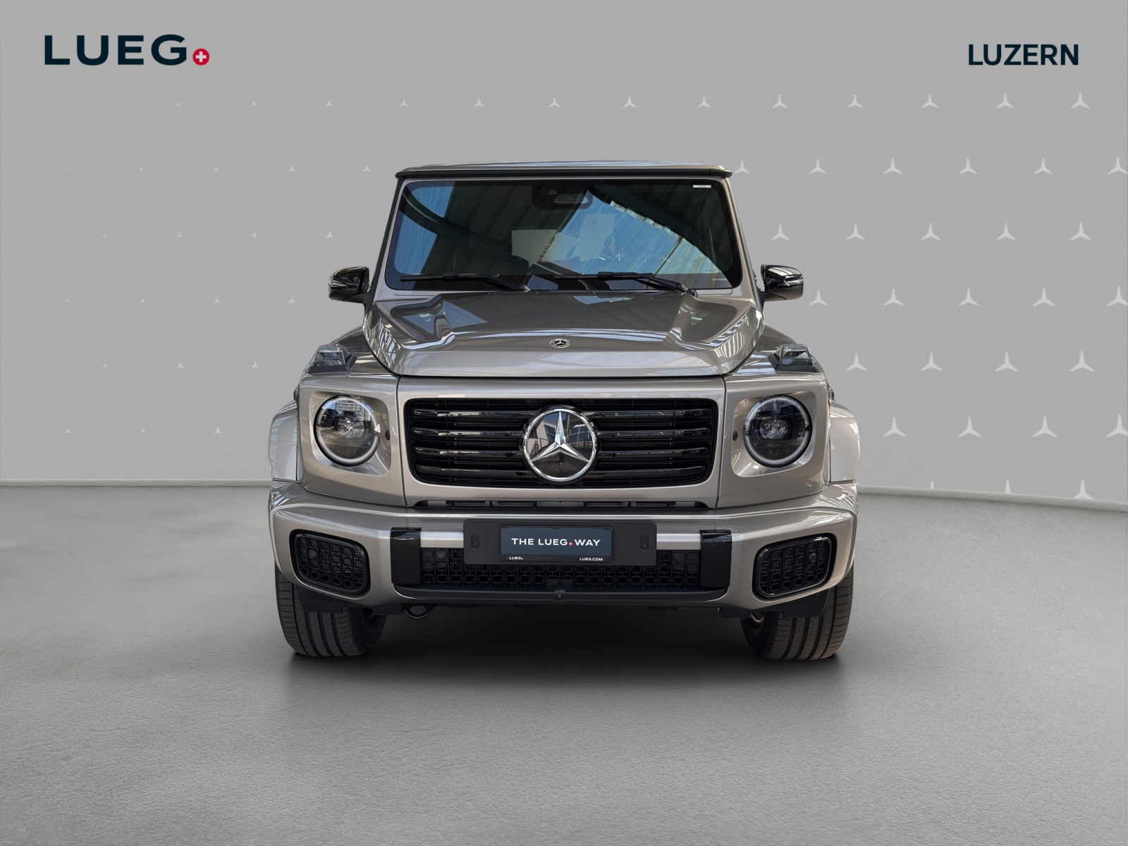 MERCEDES-BENZ G 450d 9G-Tronic-image-5